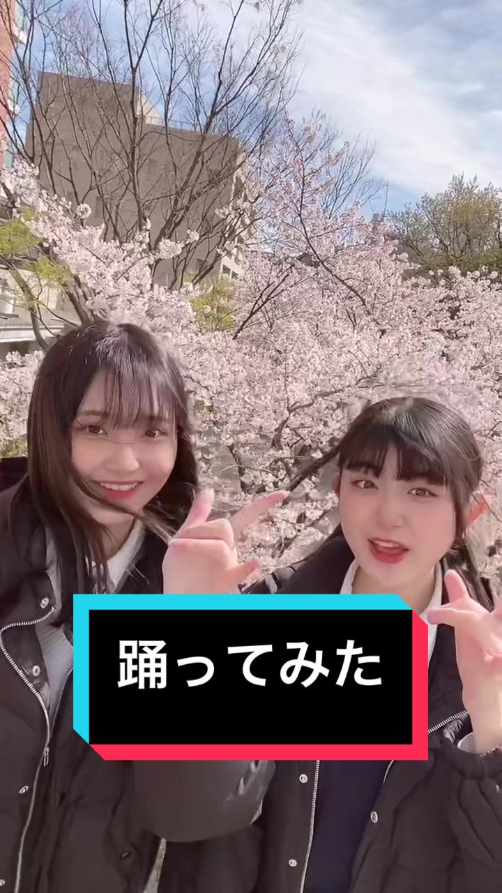 @hush x hush(ハシュハシュ)