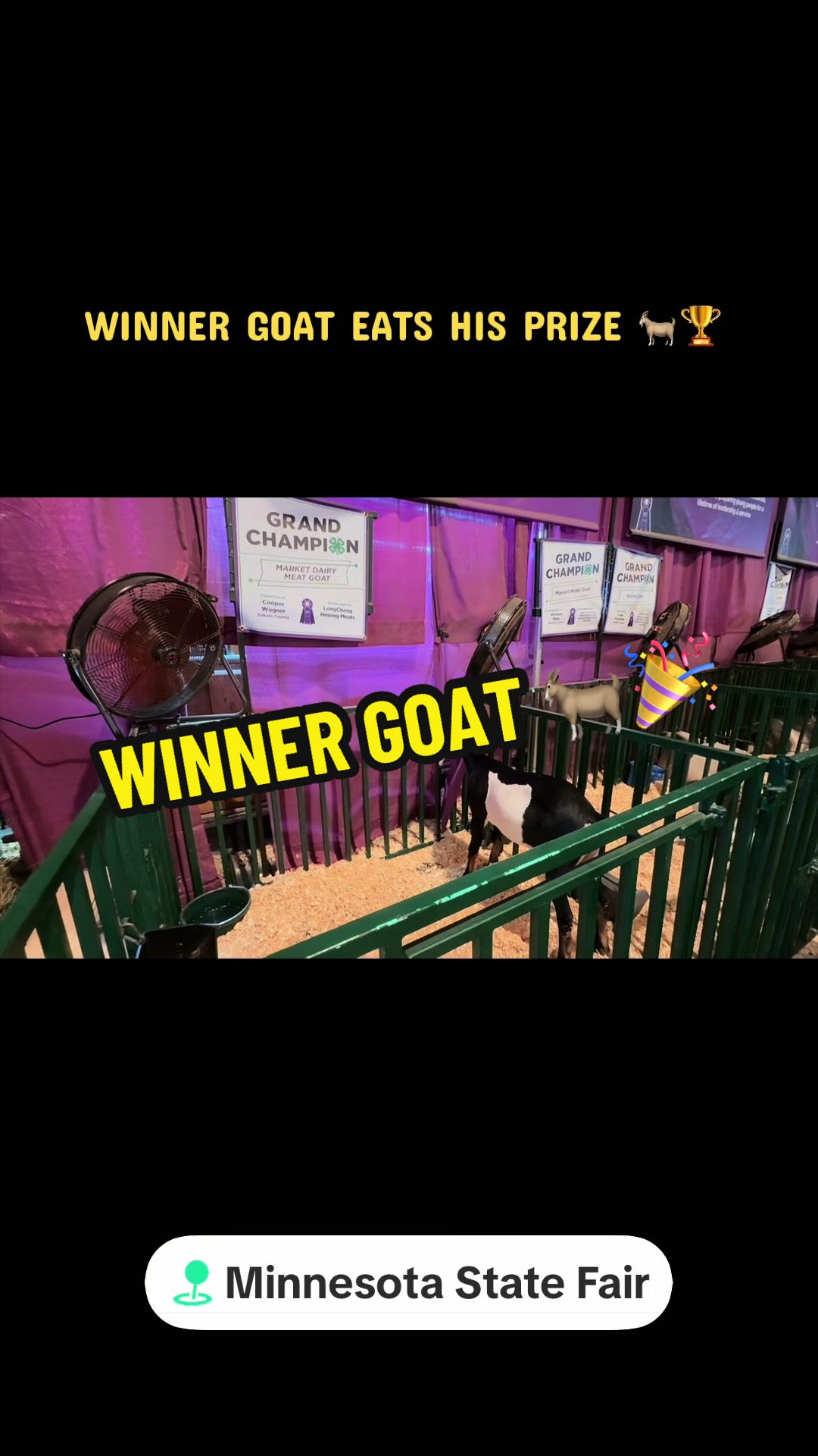 @Purplenado