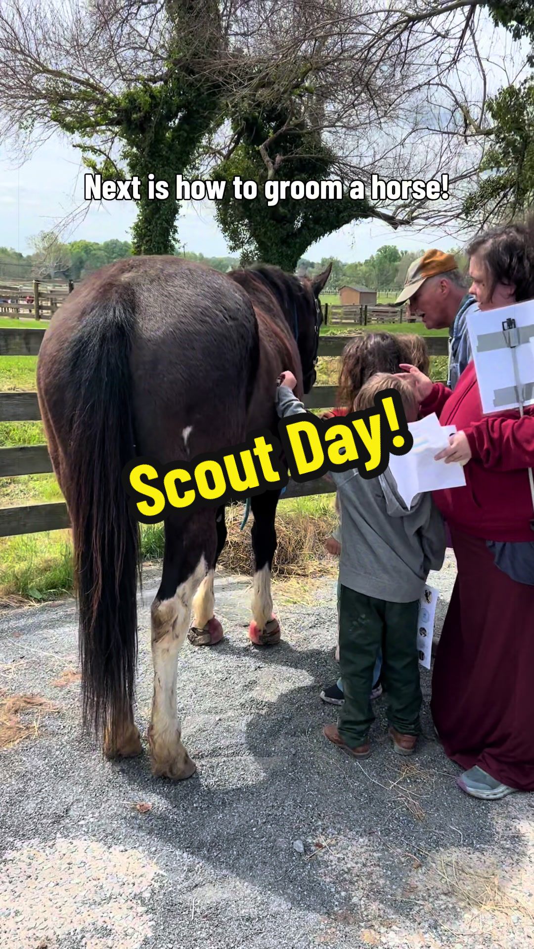 @Days End Farm Horse Rescue