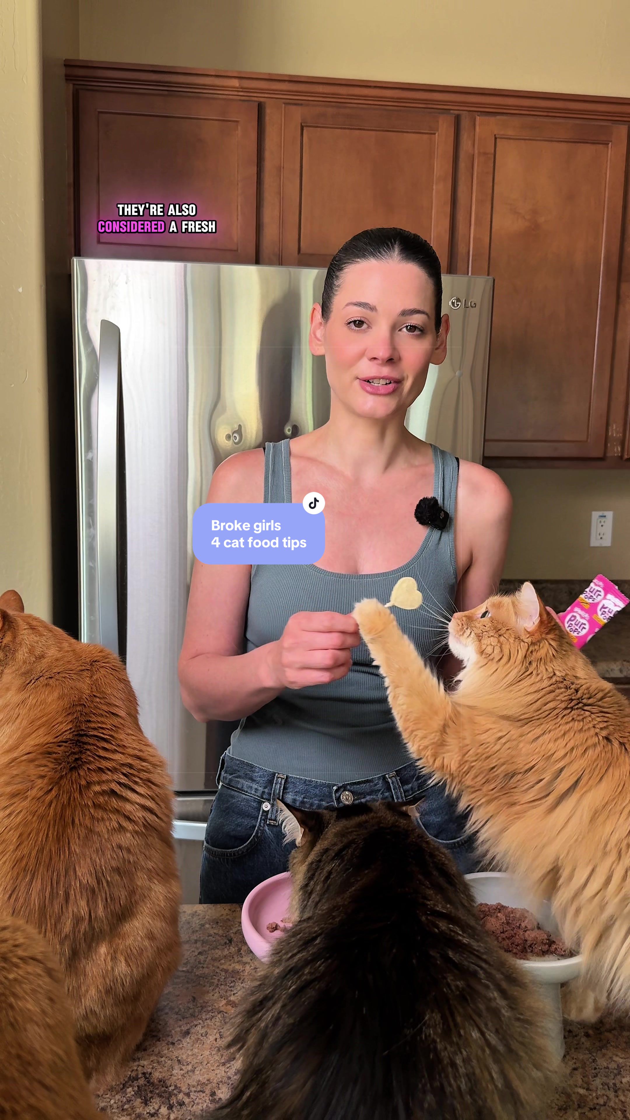 @Feminist Kitty | Cat Nutrition