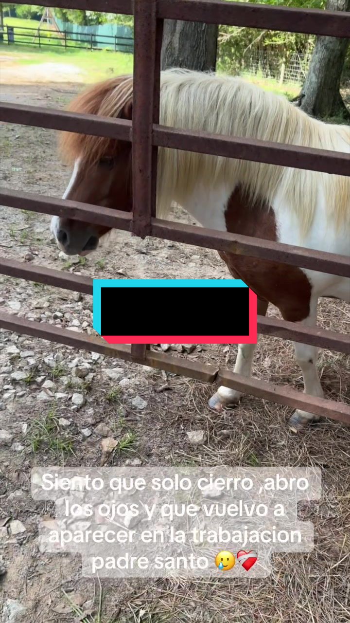 @anjel Eduardo Arellano