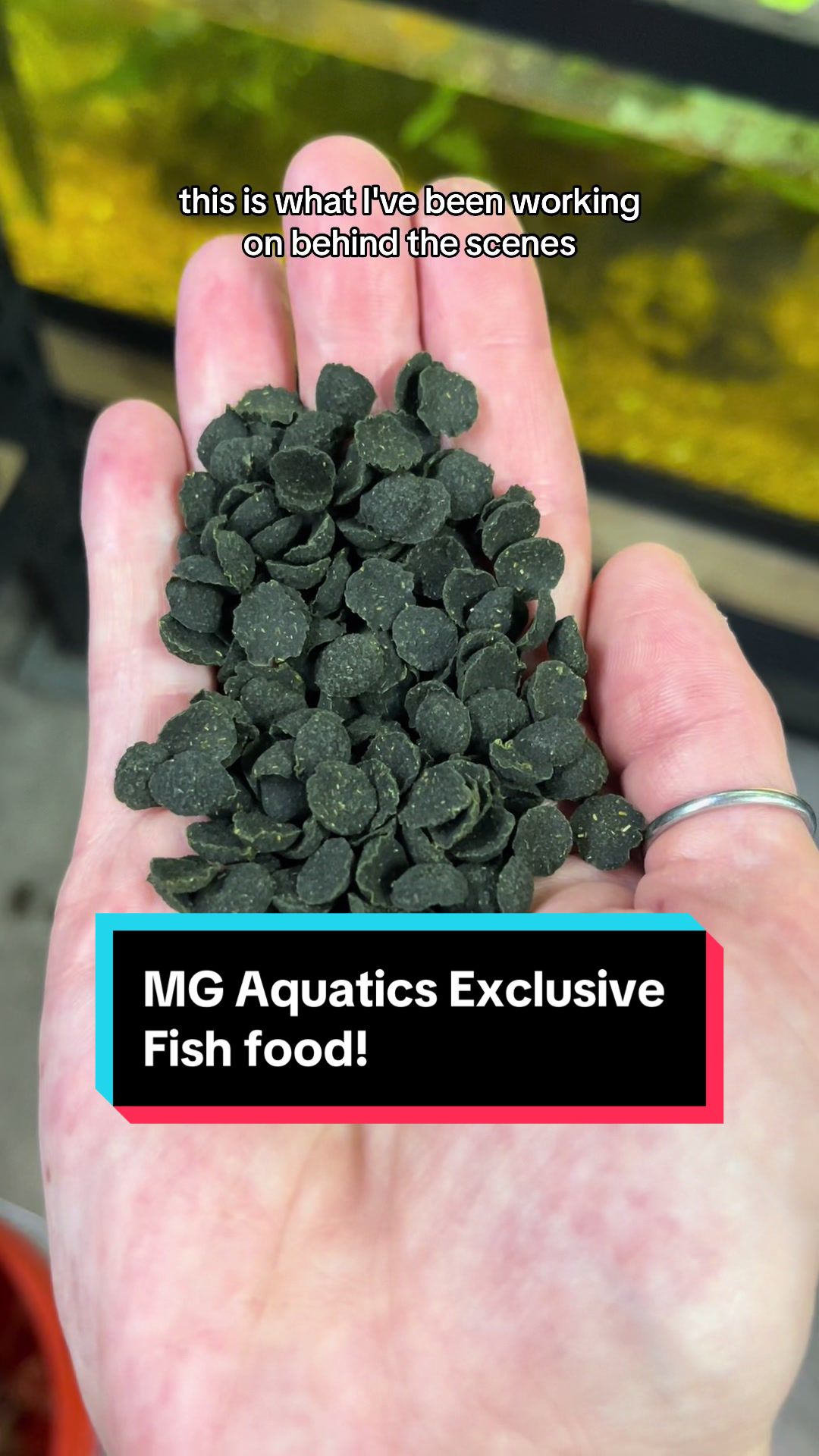 @MG Aquatics LLC