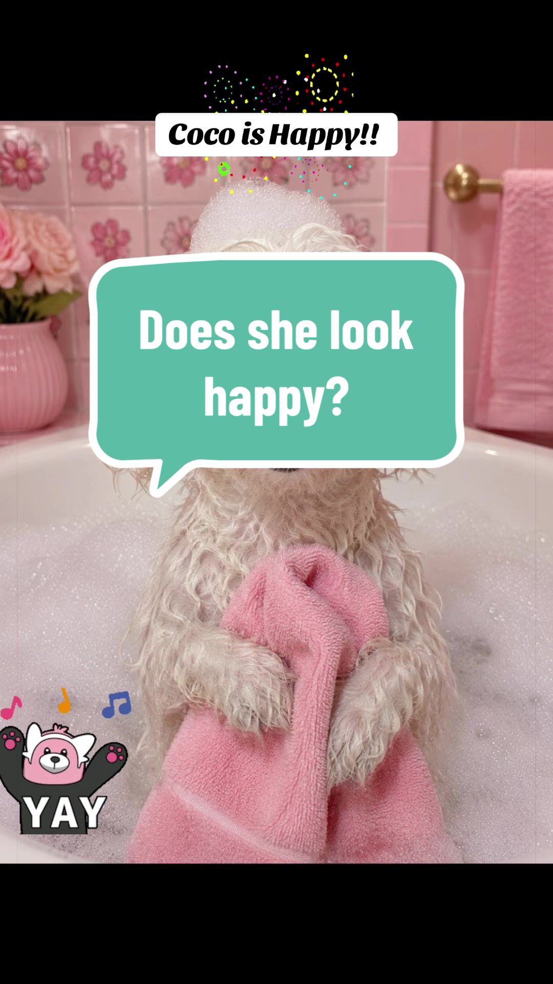 @Coco_puppysf