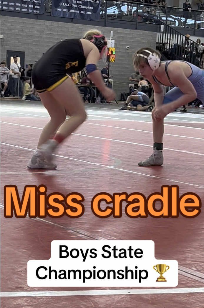 @miss.cradle