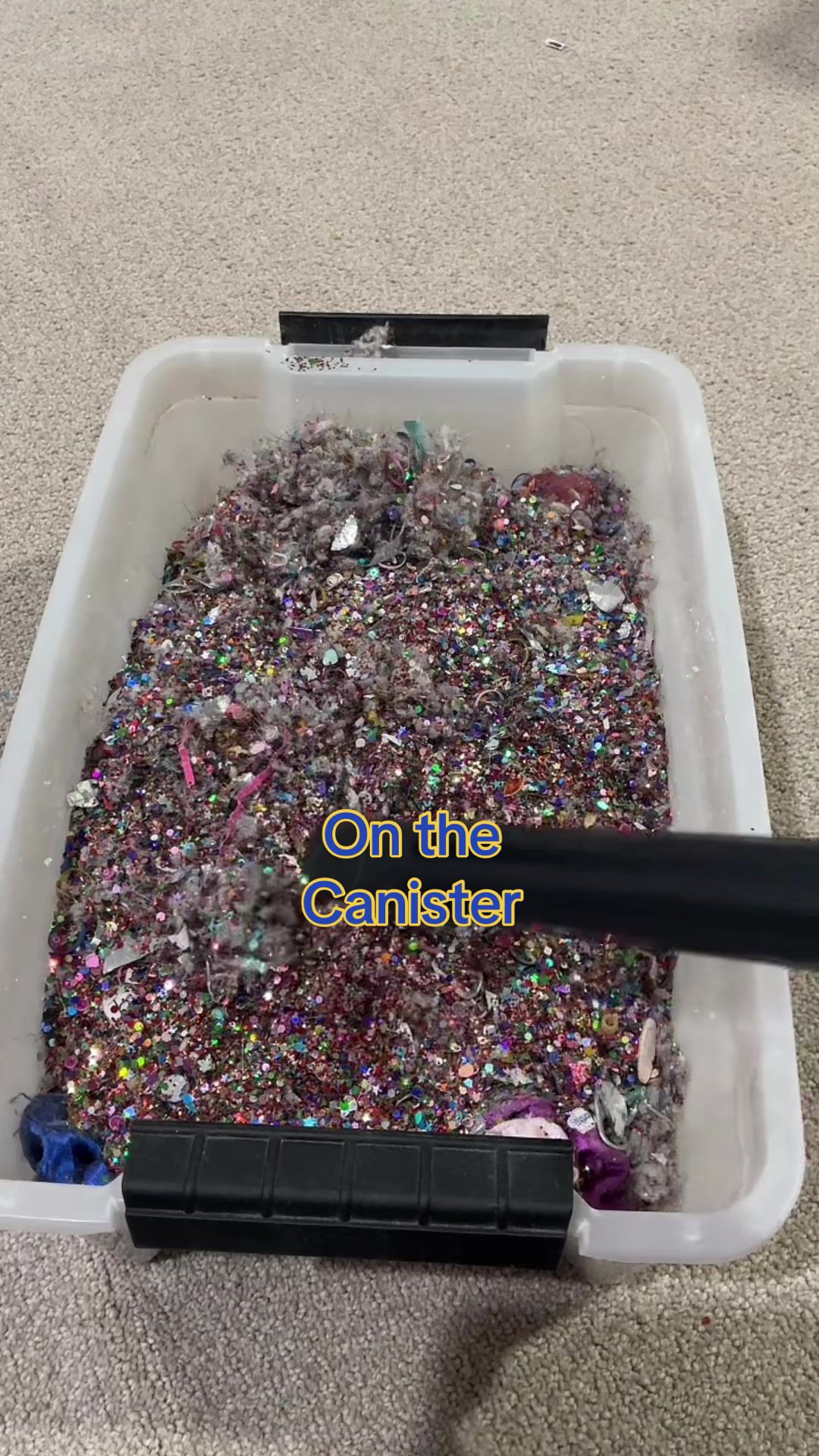 @✨𝕃𝔸𝔻𝕐 𝕍𝔸ℂ𝕊𝔸𝕃𝕆𝕋✨