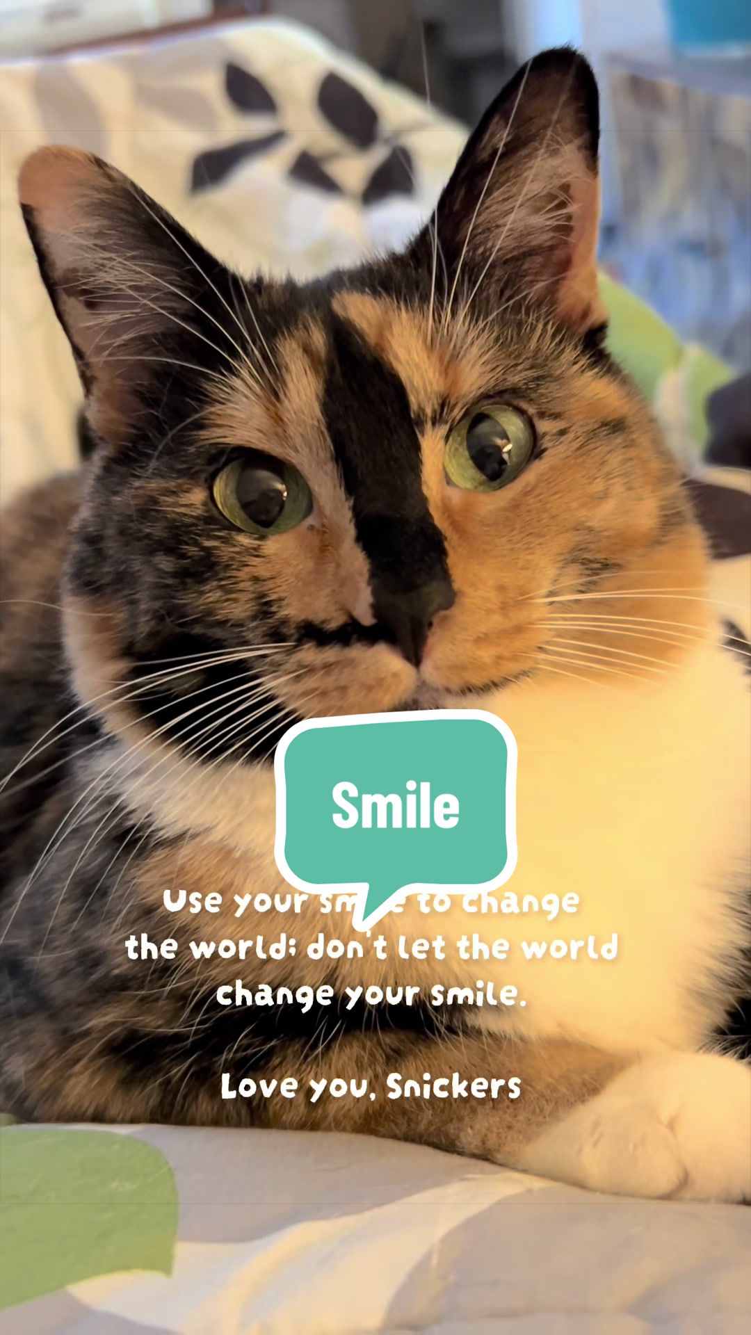@SnickersTheSmilingCat