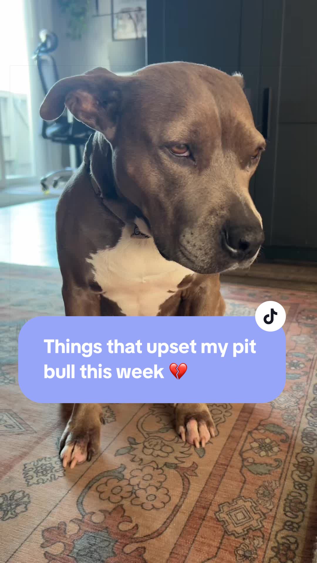 @Cali the Pit