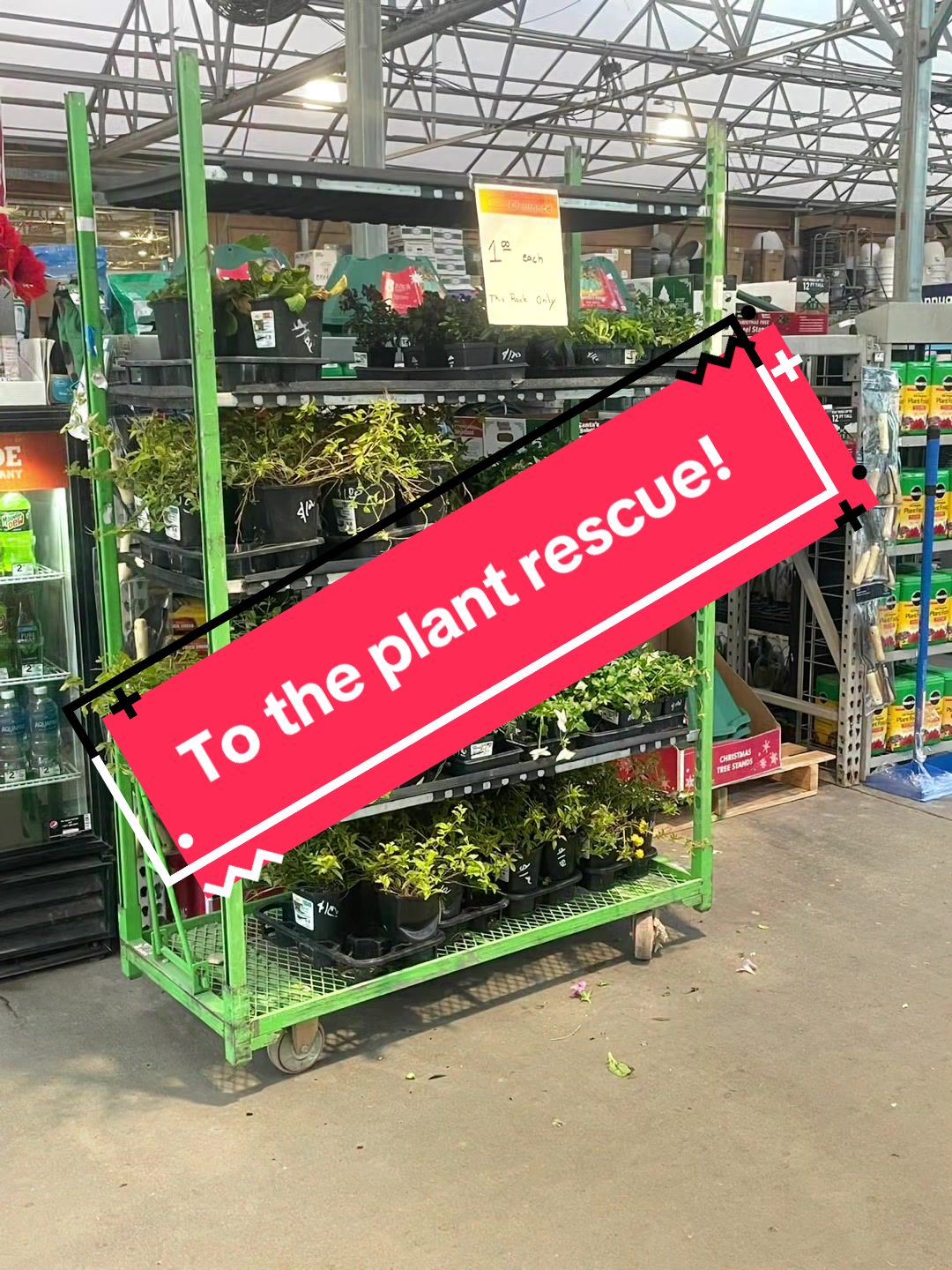 @plantladyphx