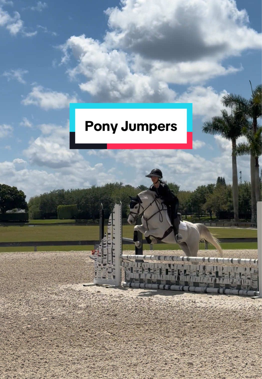 @Dalman Jump Co
