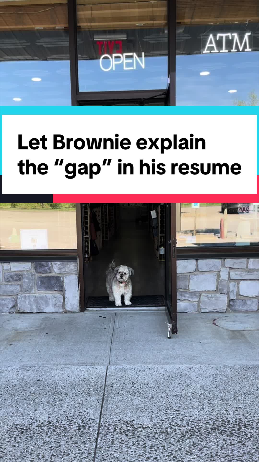 @Brownie #1 Store Dog Greeter
