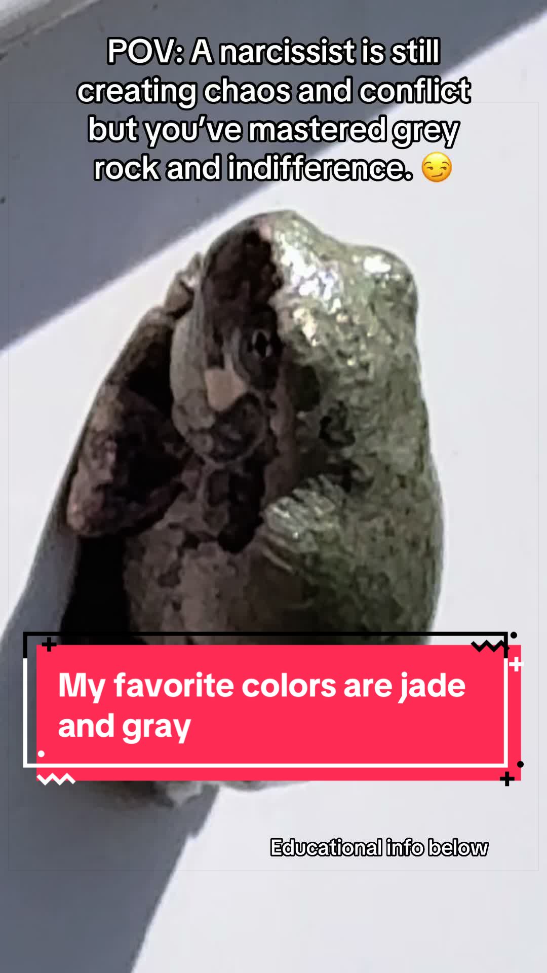 @Sarah Jessica 🪩