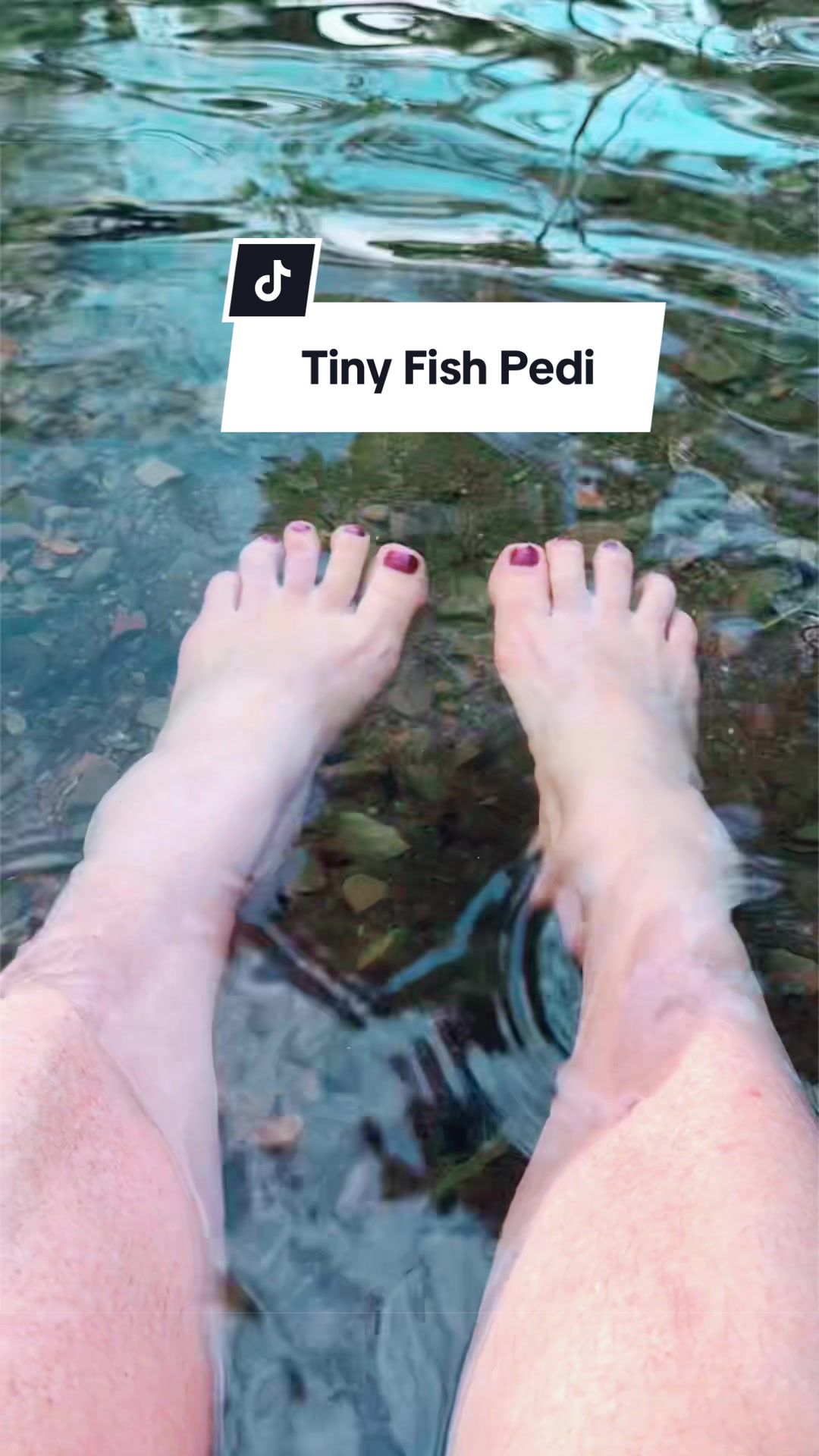 @th0vy