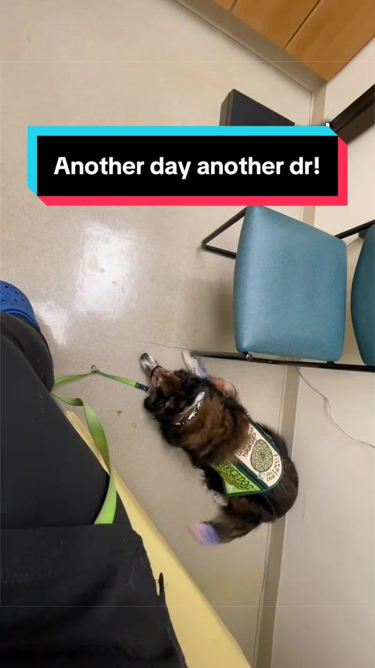 @Dakota & Pups