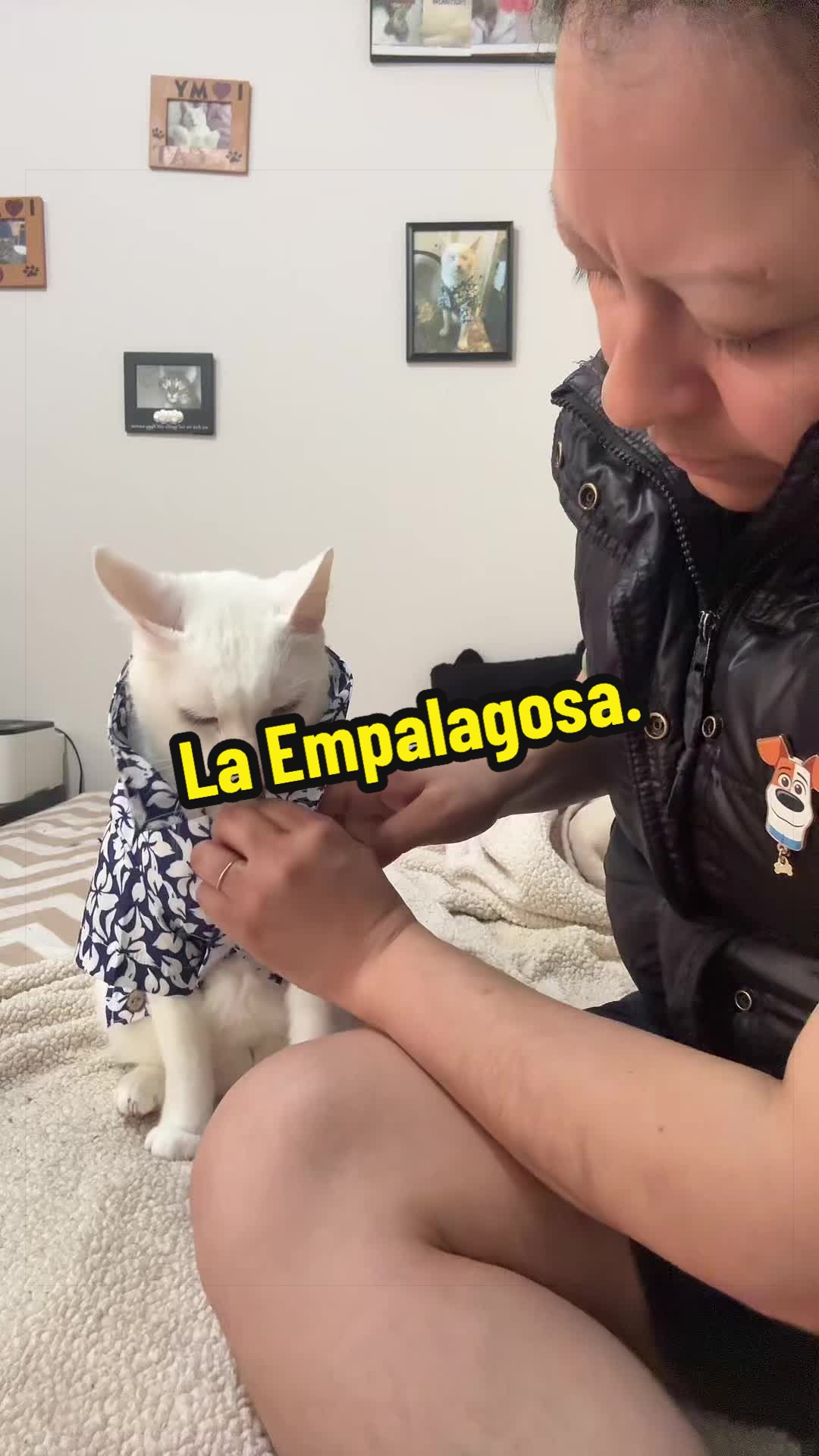 @🦖 MEOWassic CAT😺