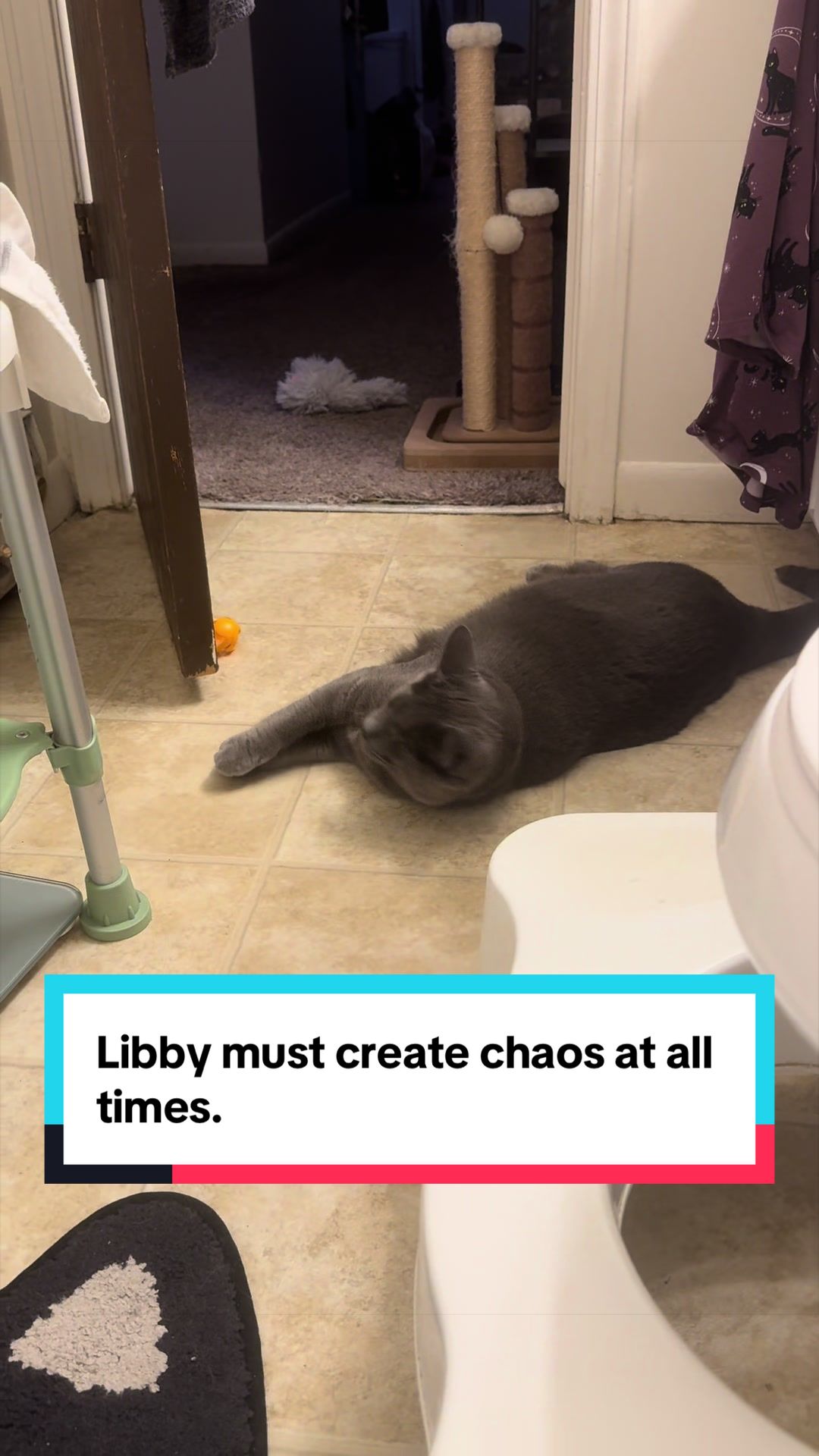 @my2blindcats