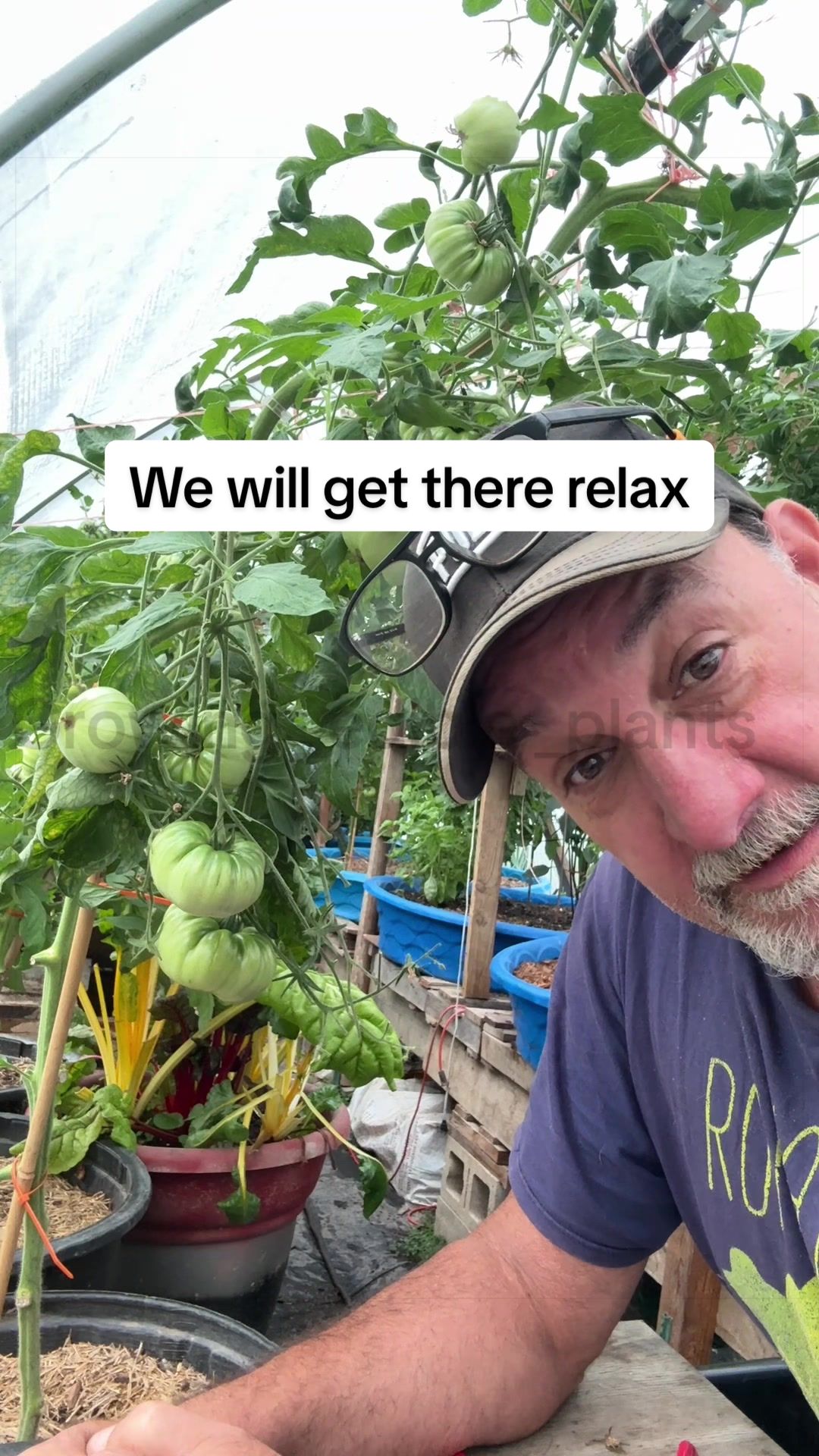 @GROWING_EDIBLE_PLANTS