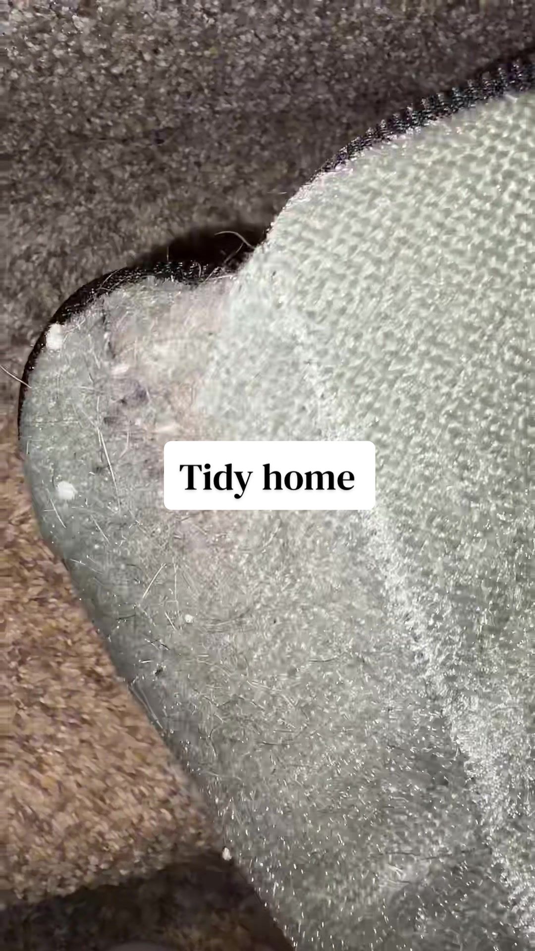 @Tidy_Tabitha