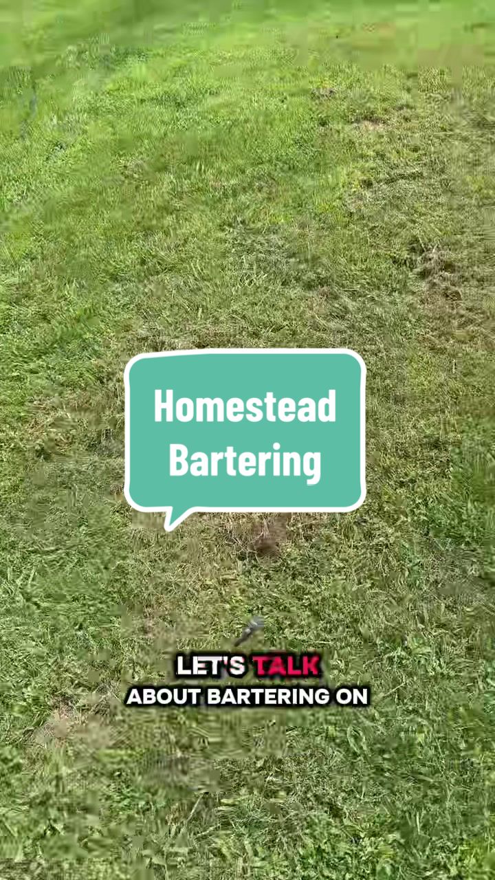 @WITWO Prepper Homestead