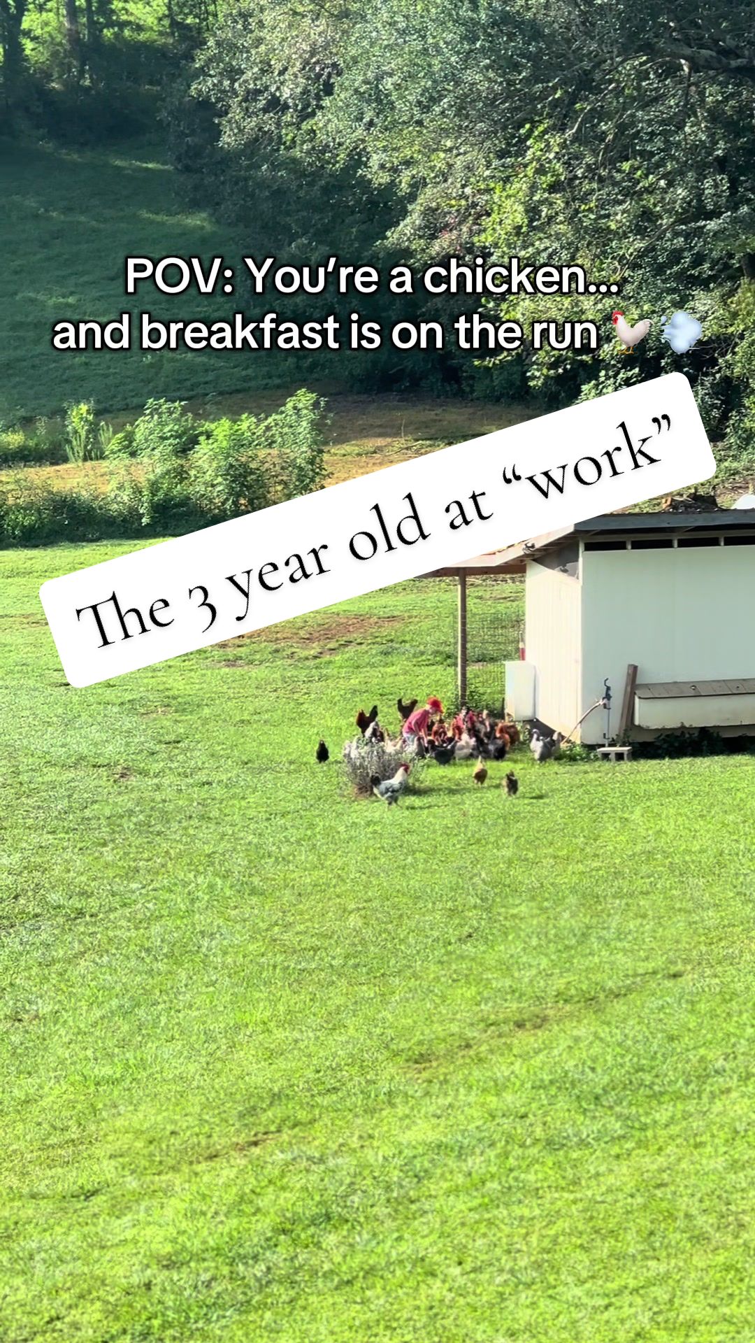 @CopperHollerFarm