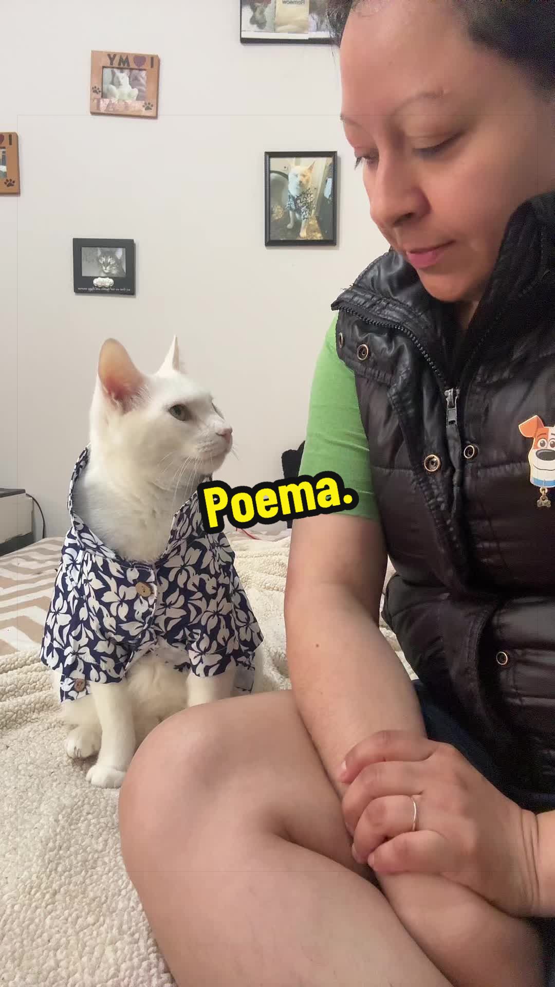 @🦖 MEOWassic CAT😺