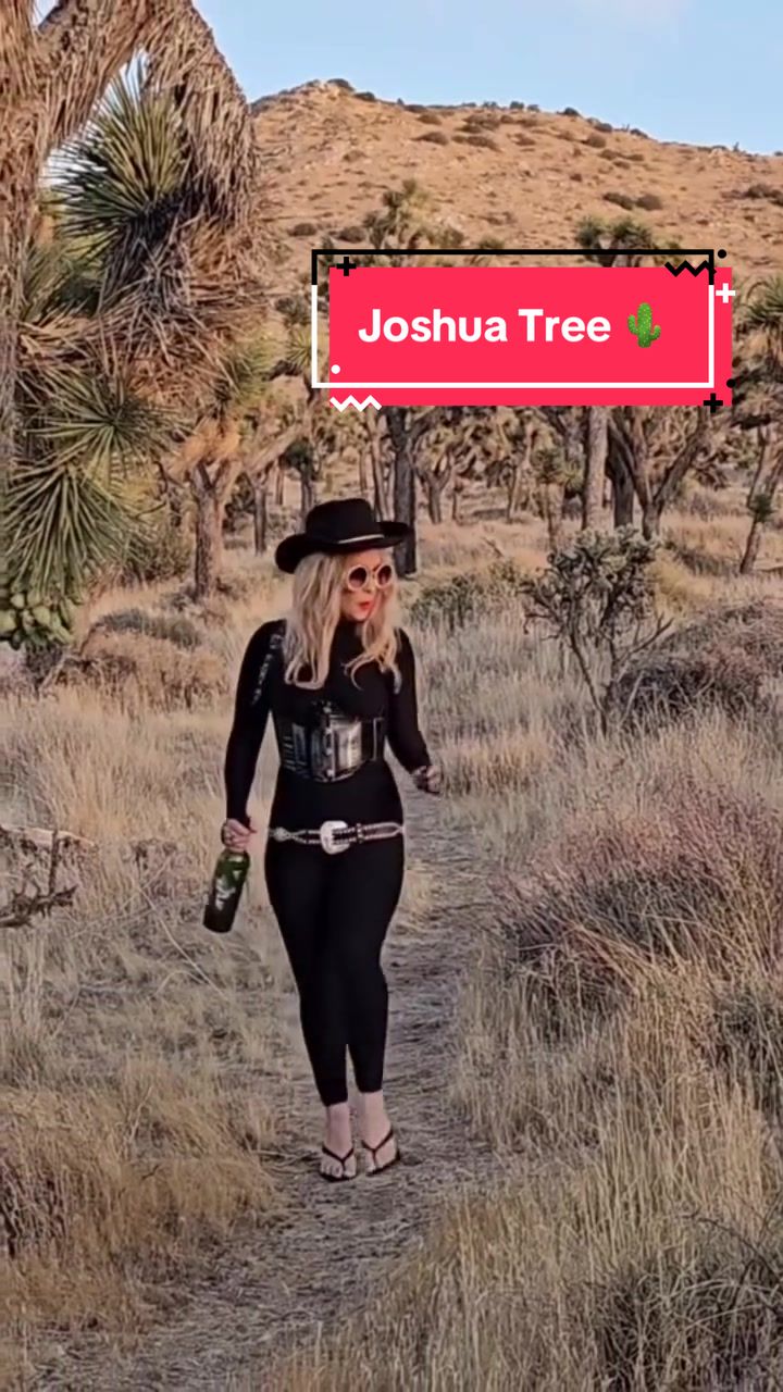 @Jesika von Rabbit