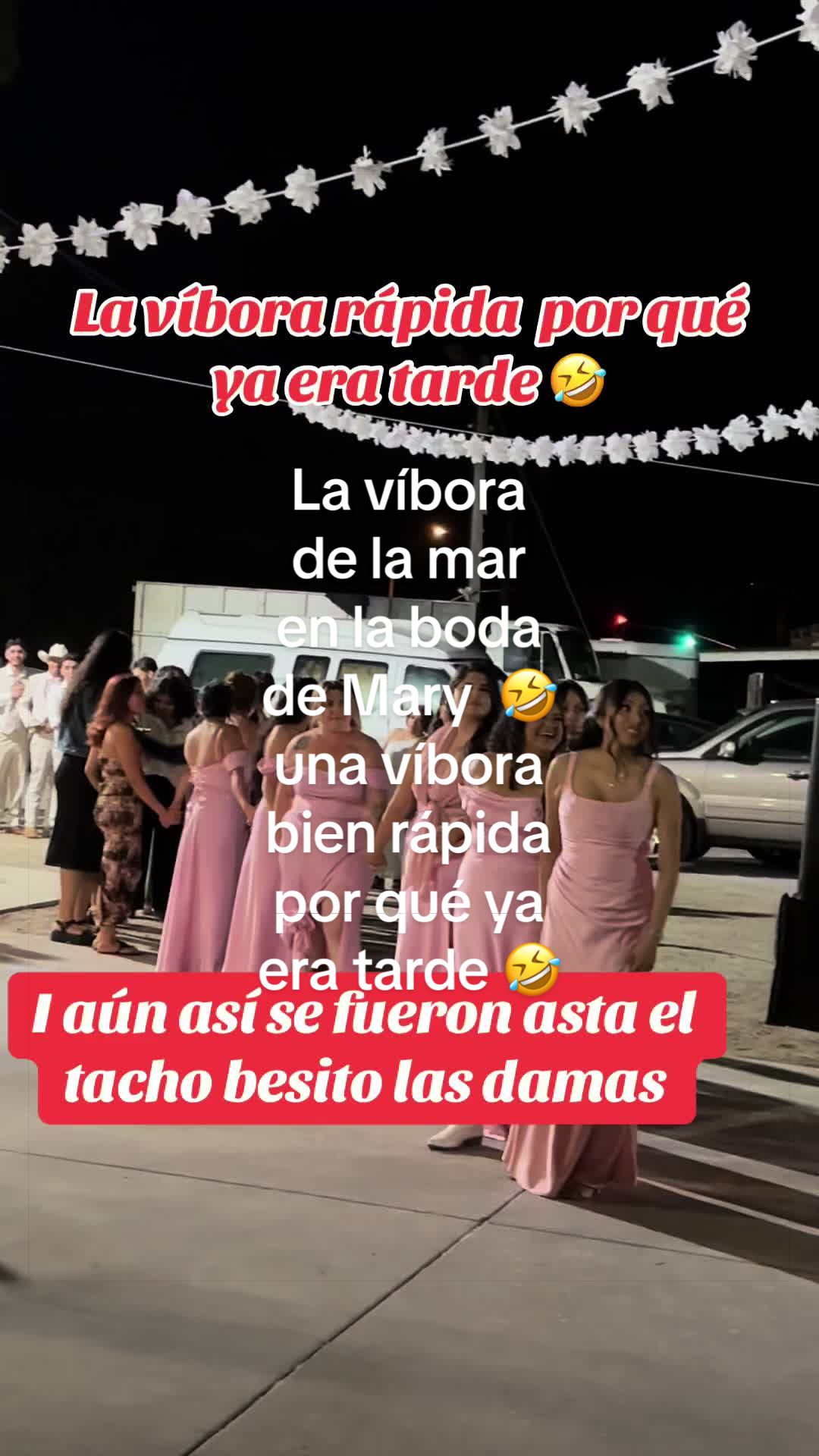 @Alma Baez295