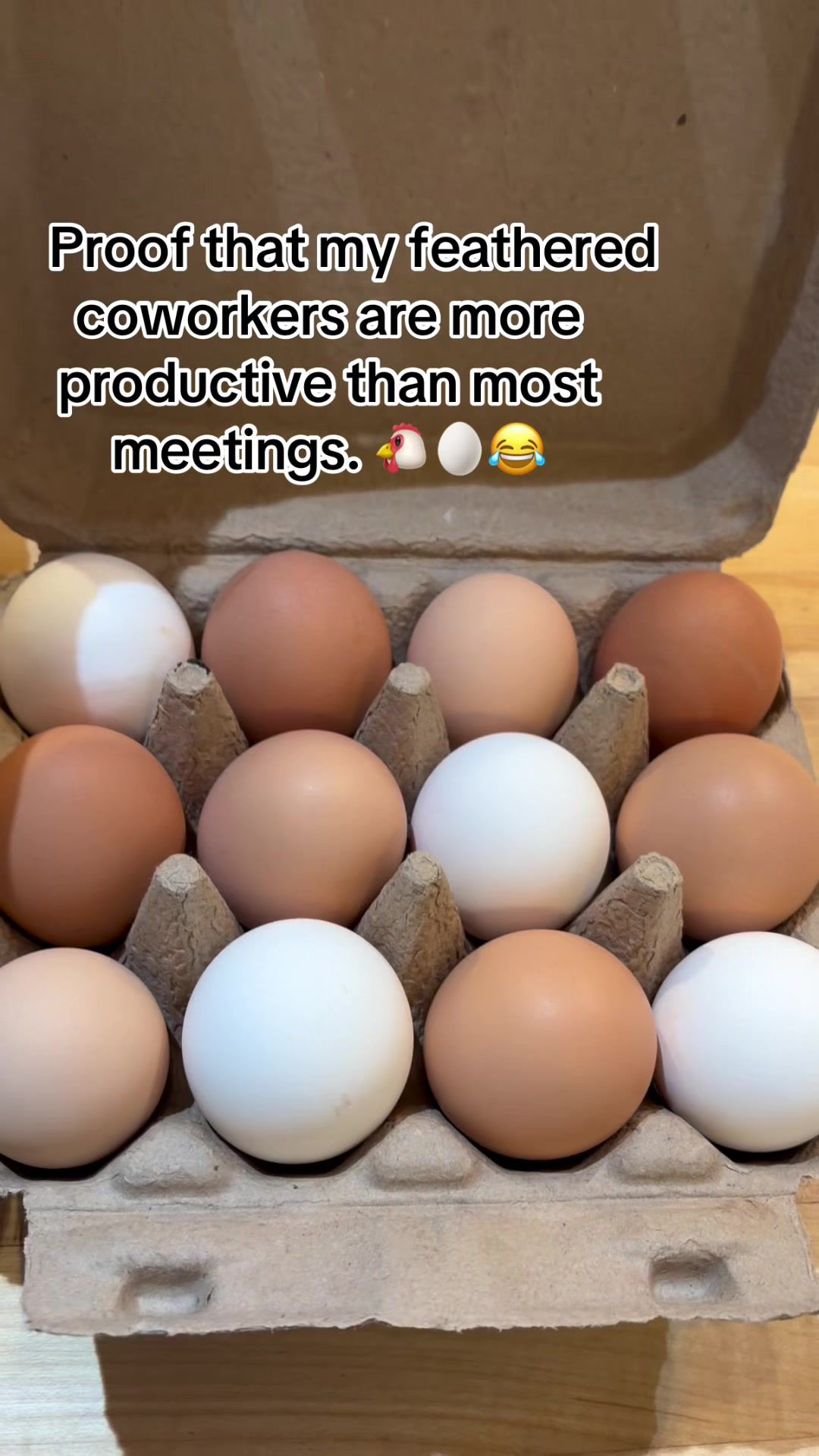 @Resistance Homesteaders
