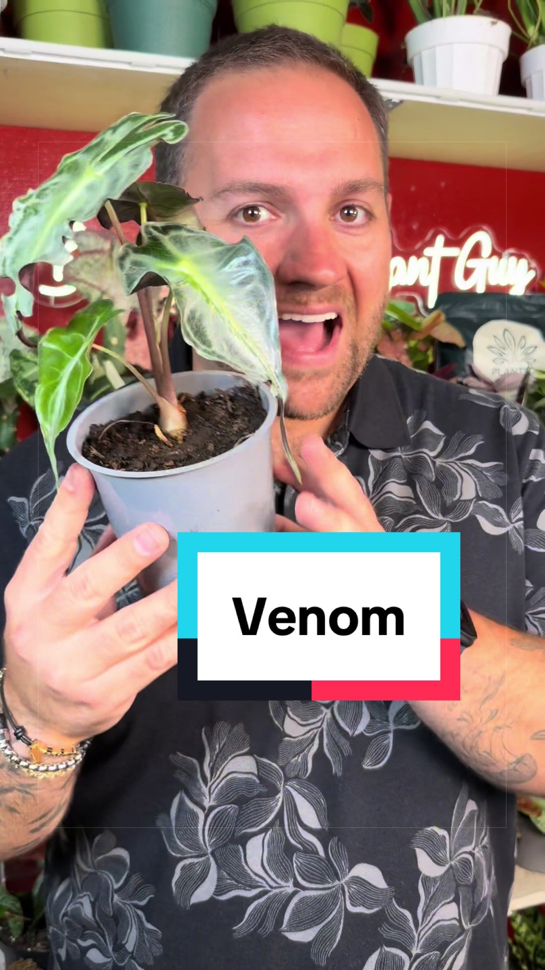 @Brandon The Plant Guy