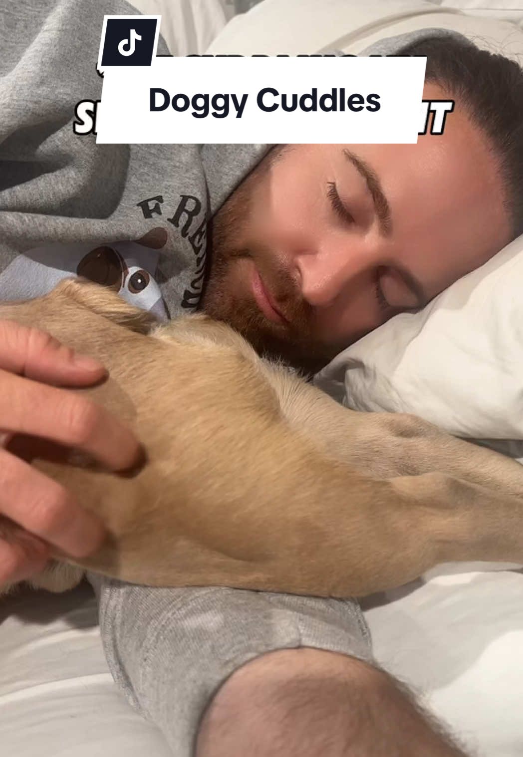 @Somefrenchienamedapollo