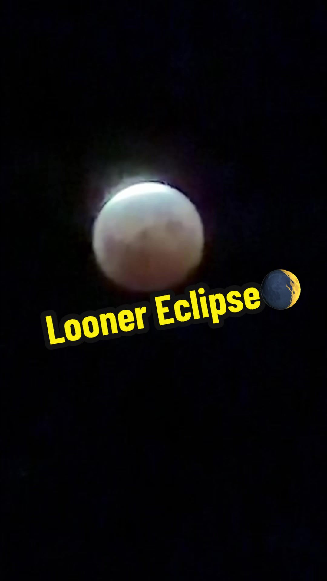 @Looney_Couple
