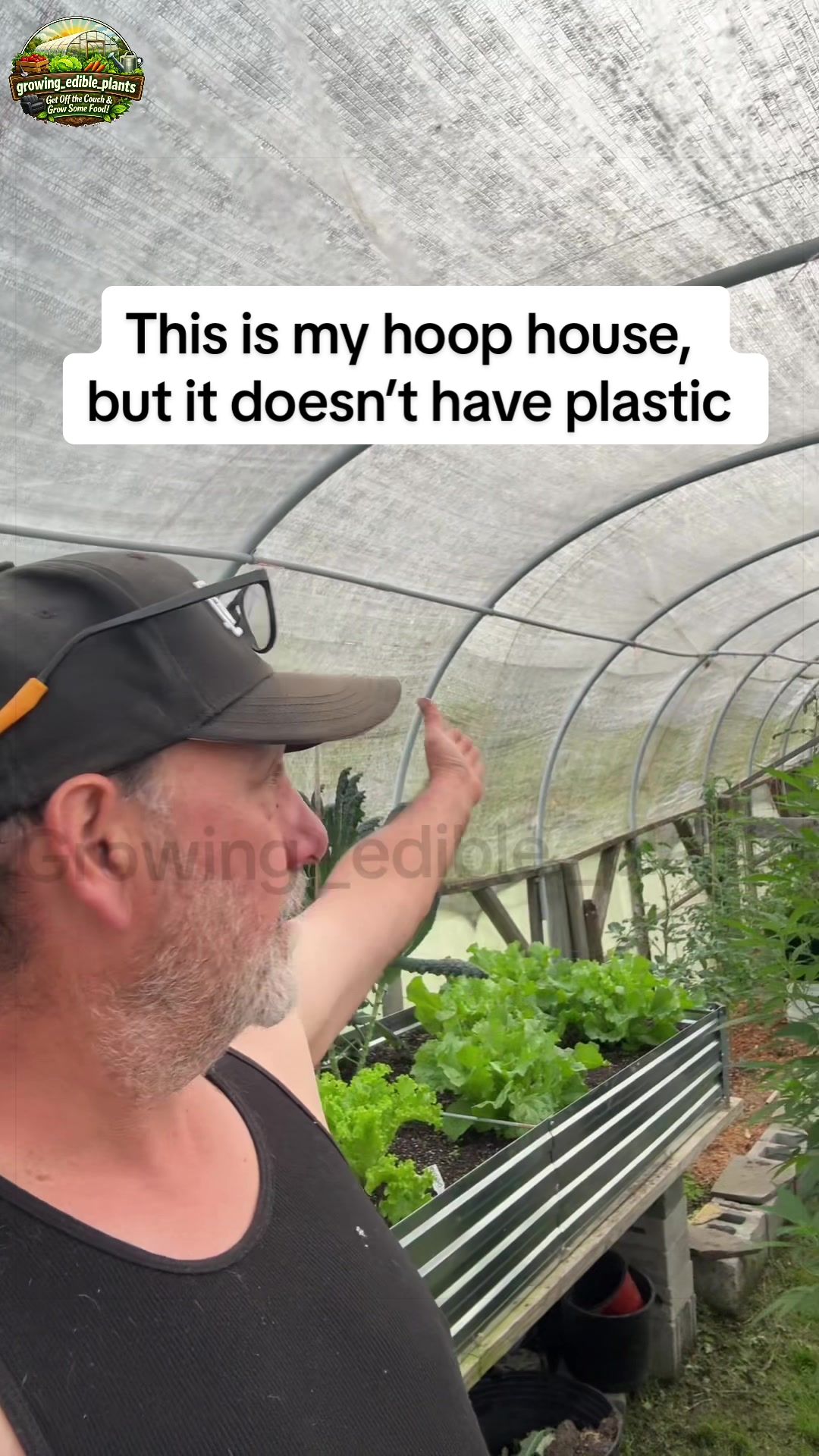 @GROWING_EDIBLE_PLANTS