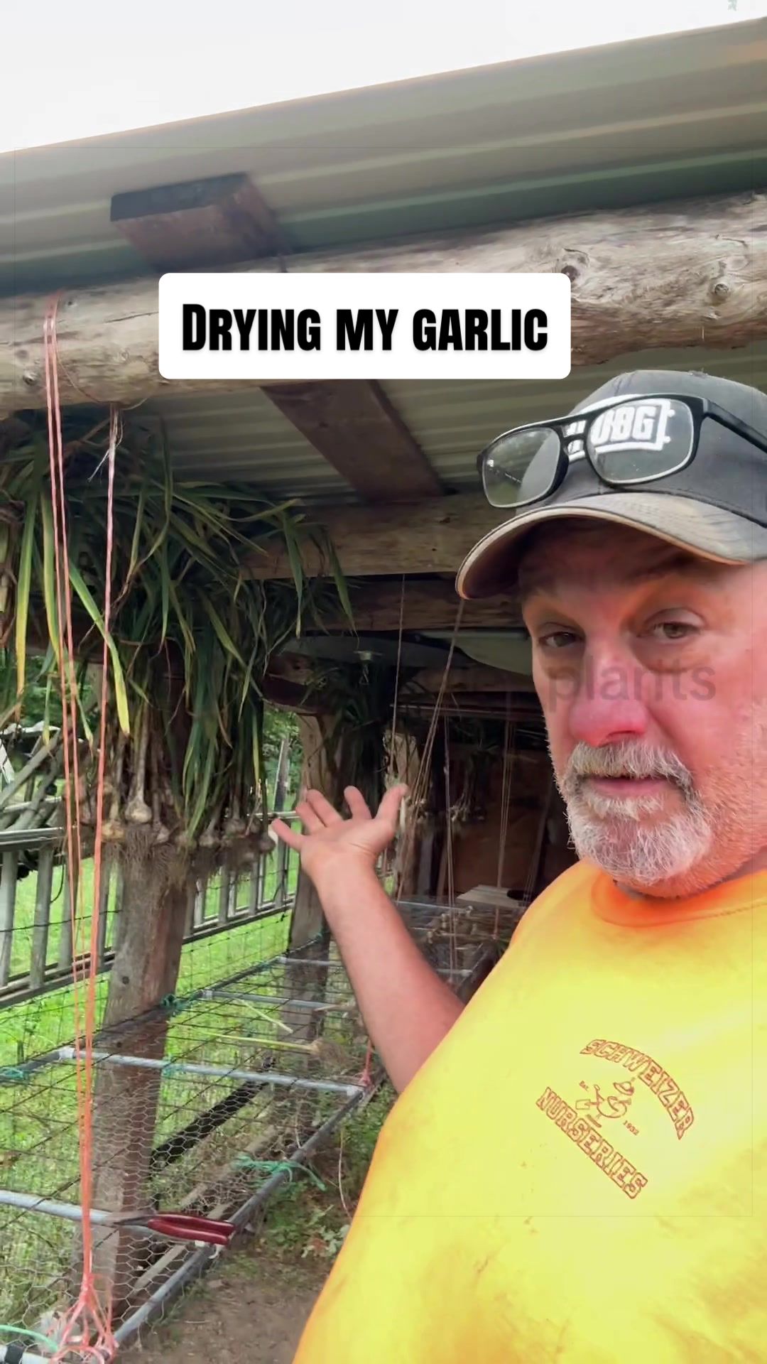 @GROWING_EDIBLE_PLANTS