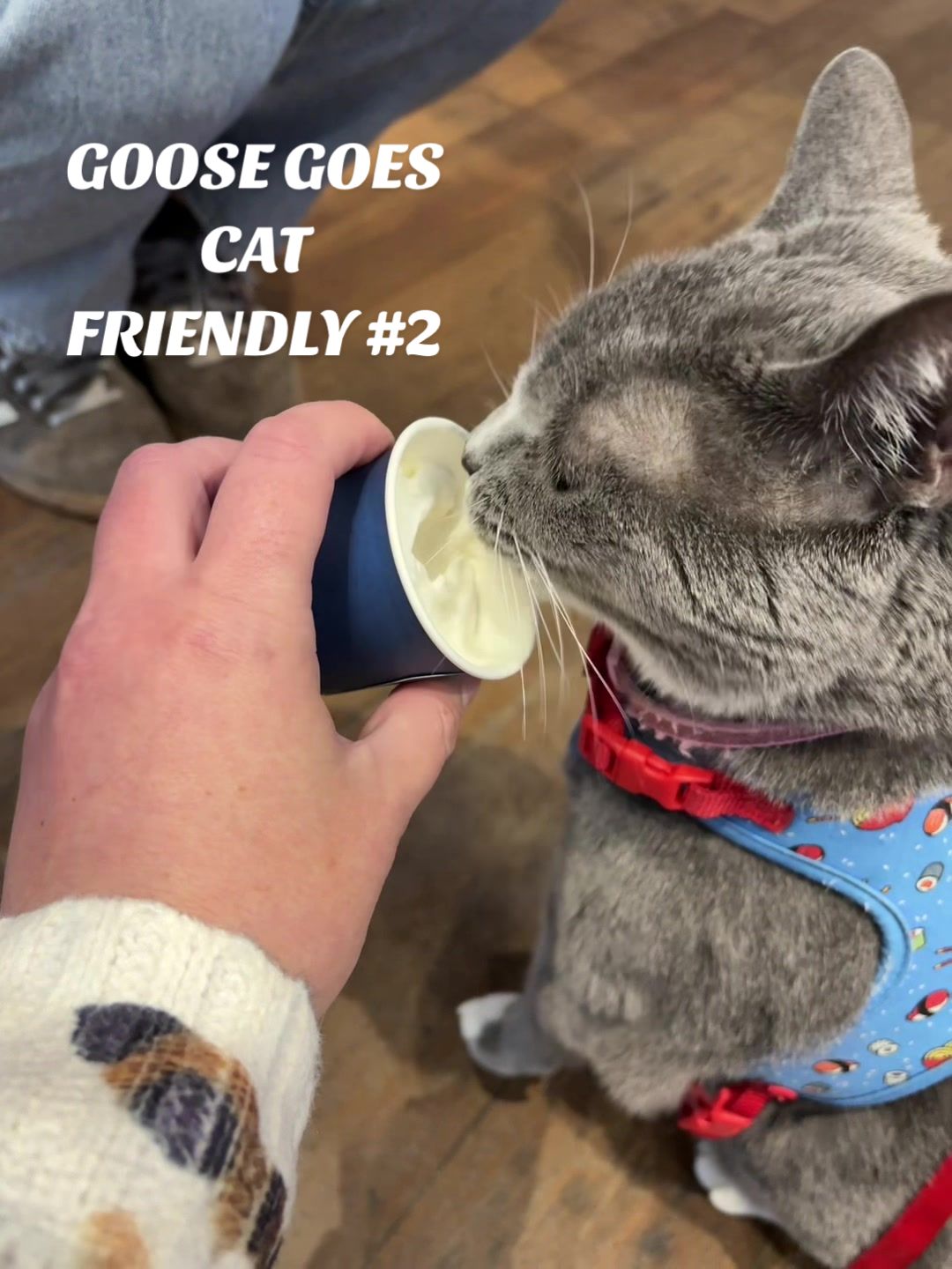 @goosie.gurl