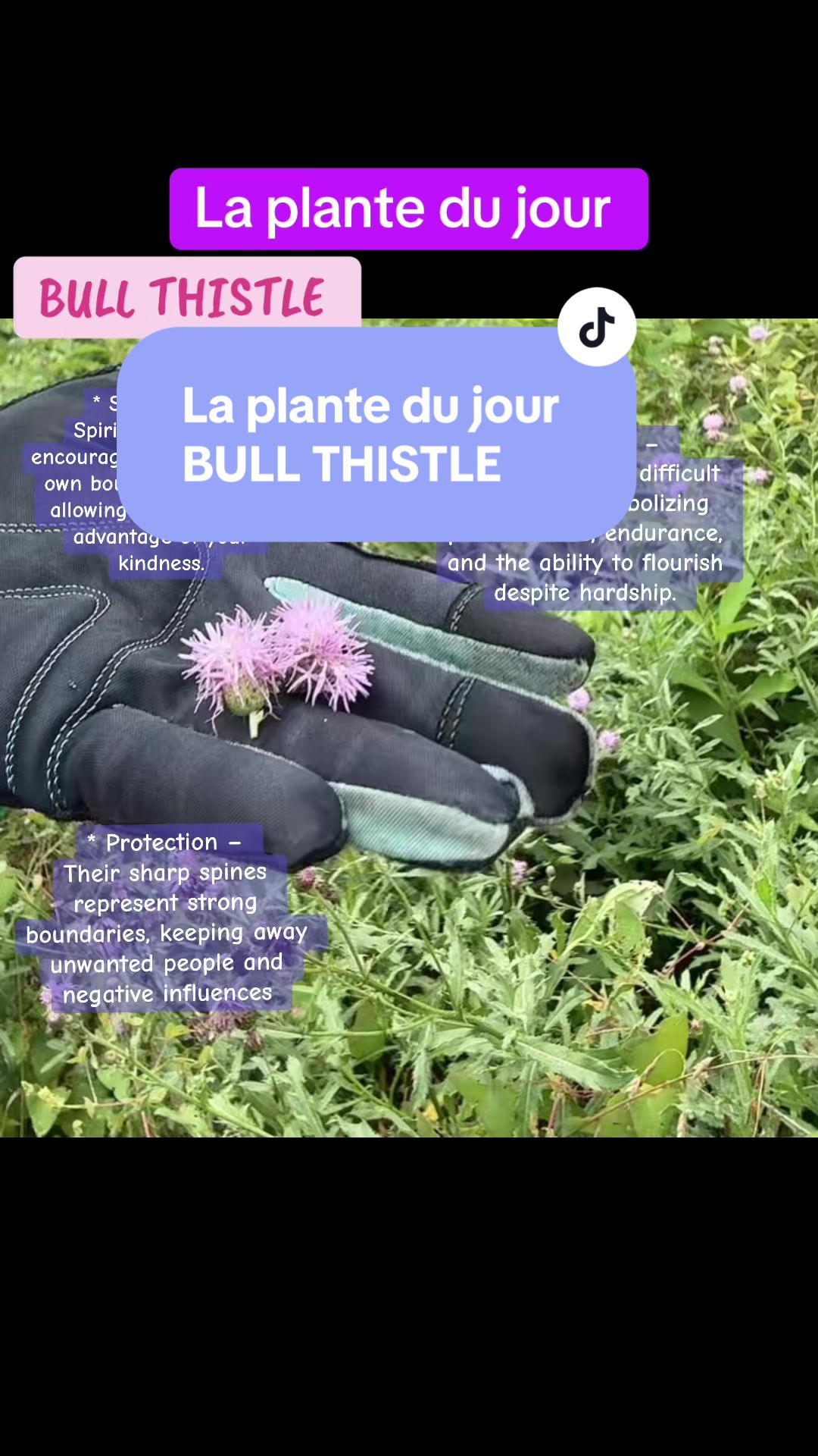 @💫🧿🦋Solange🦋🧿💫