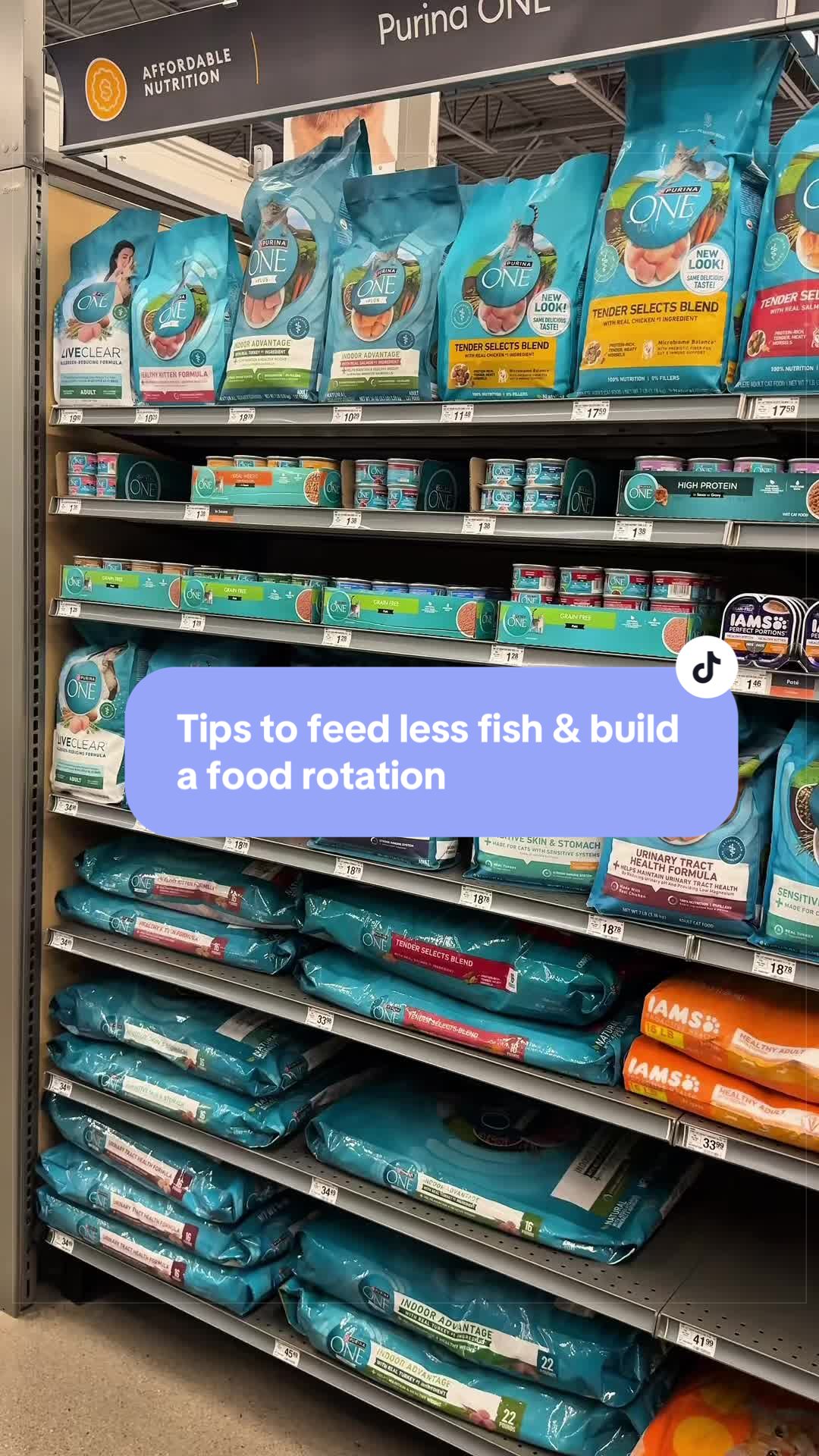 @Feminist Kitty | Cat Nutrition