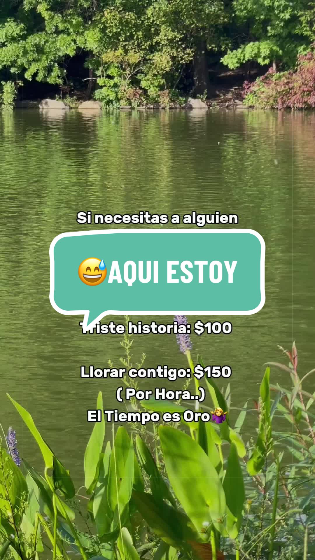 @Ahidyn