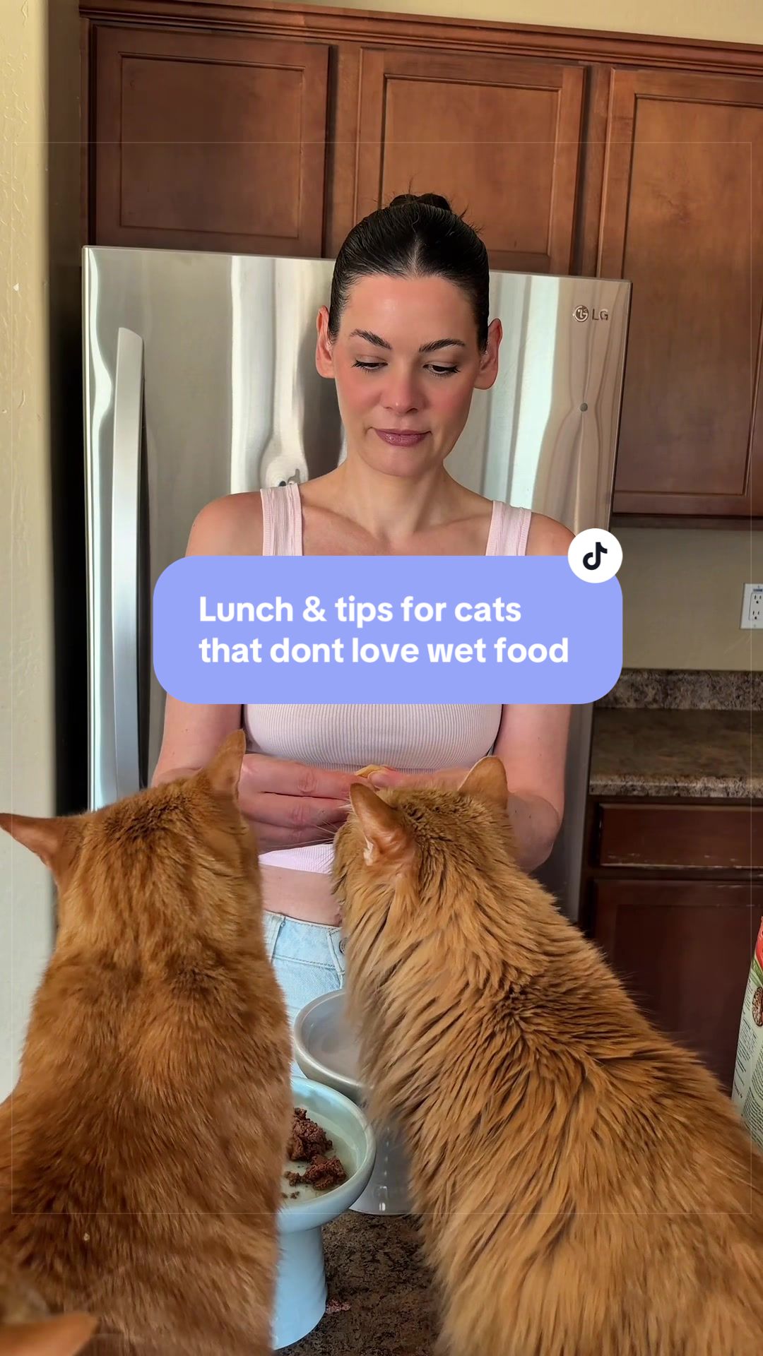 @Feminist Kitty | Cat Nutrition