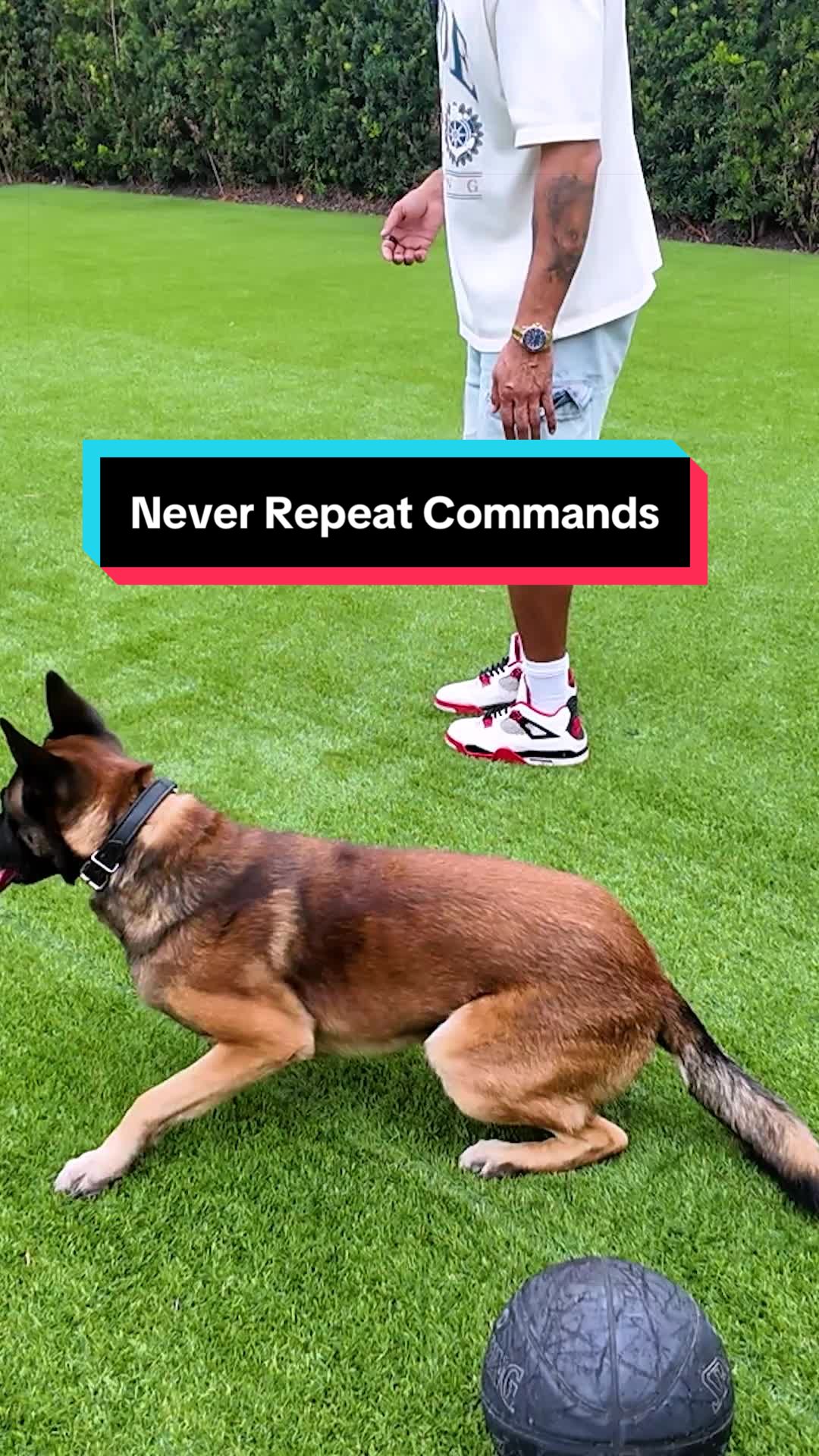 @Cali K9