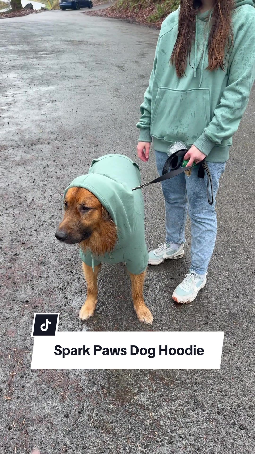@lifewithgoldenshepherds