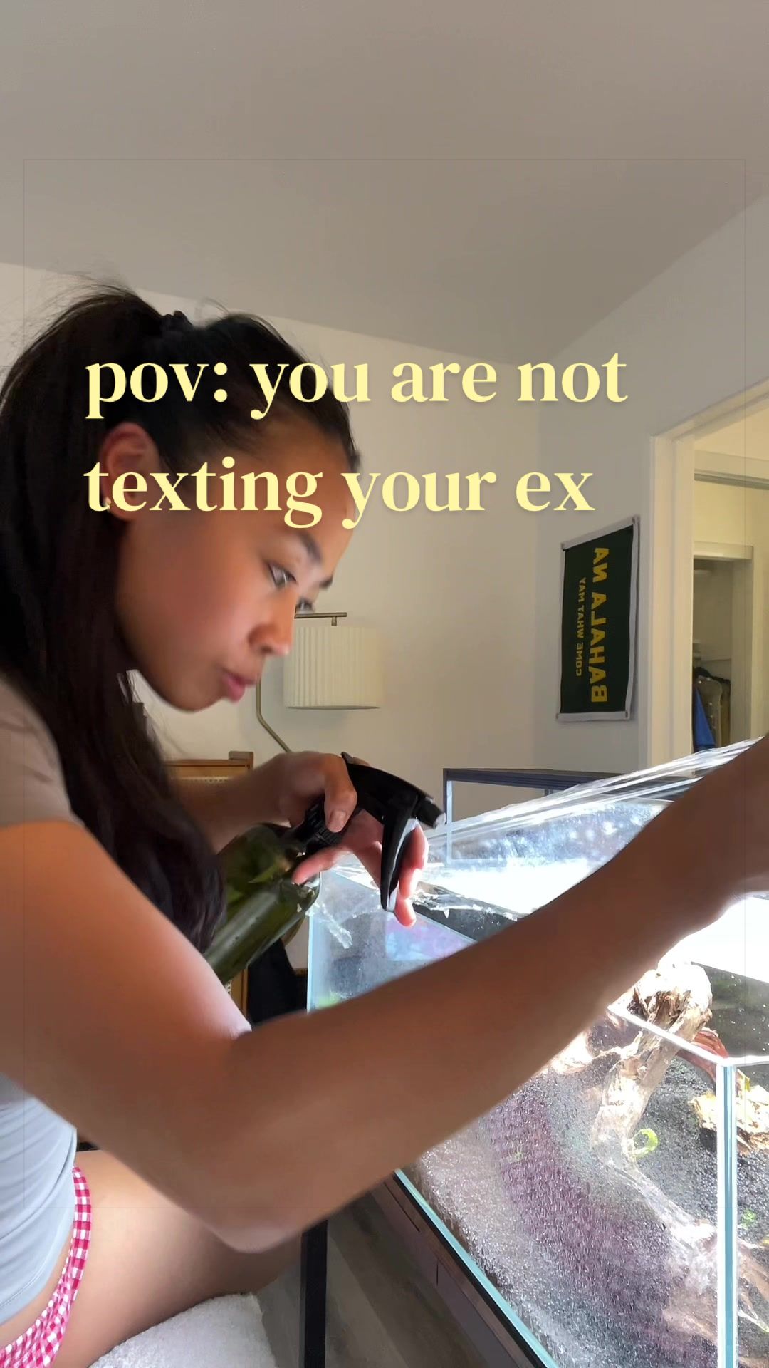 @chooks