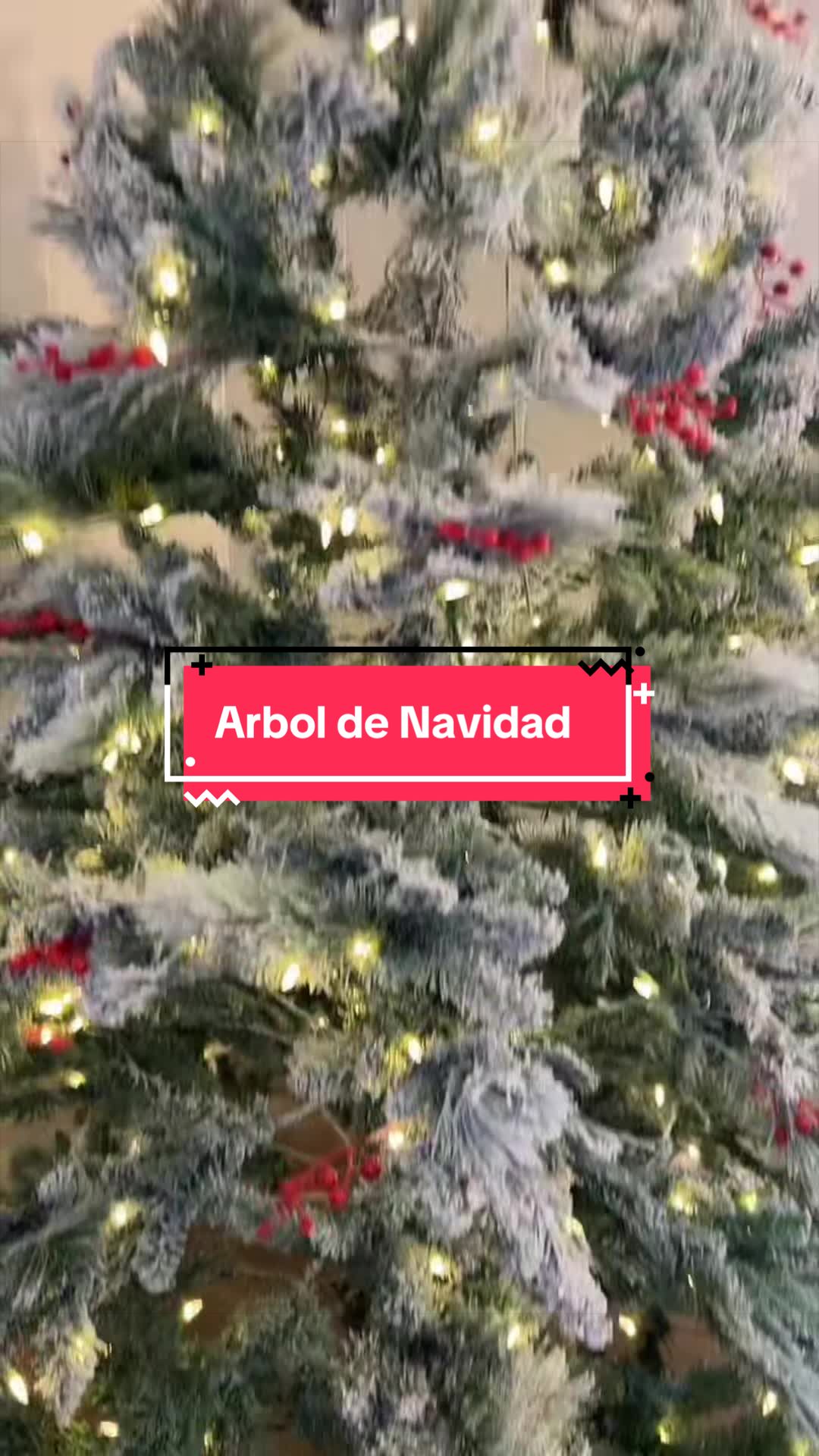 @Diana Fonte