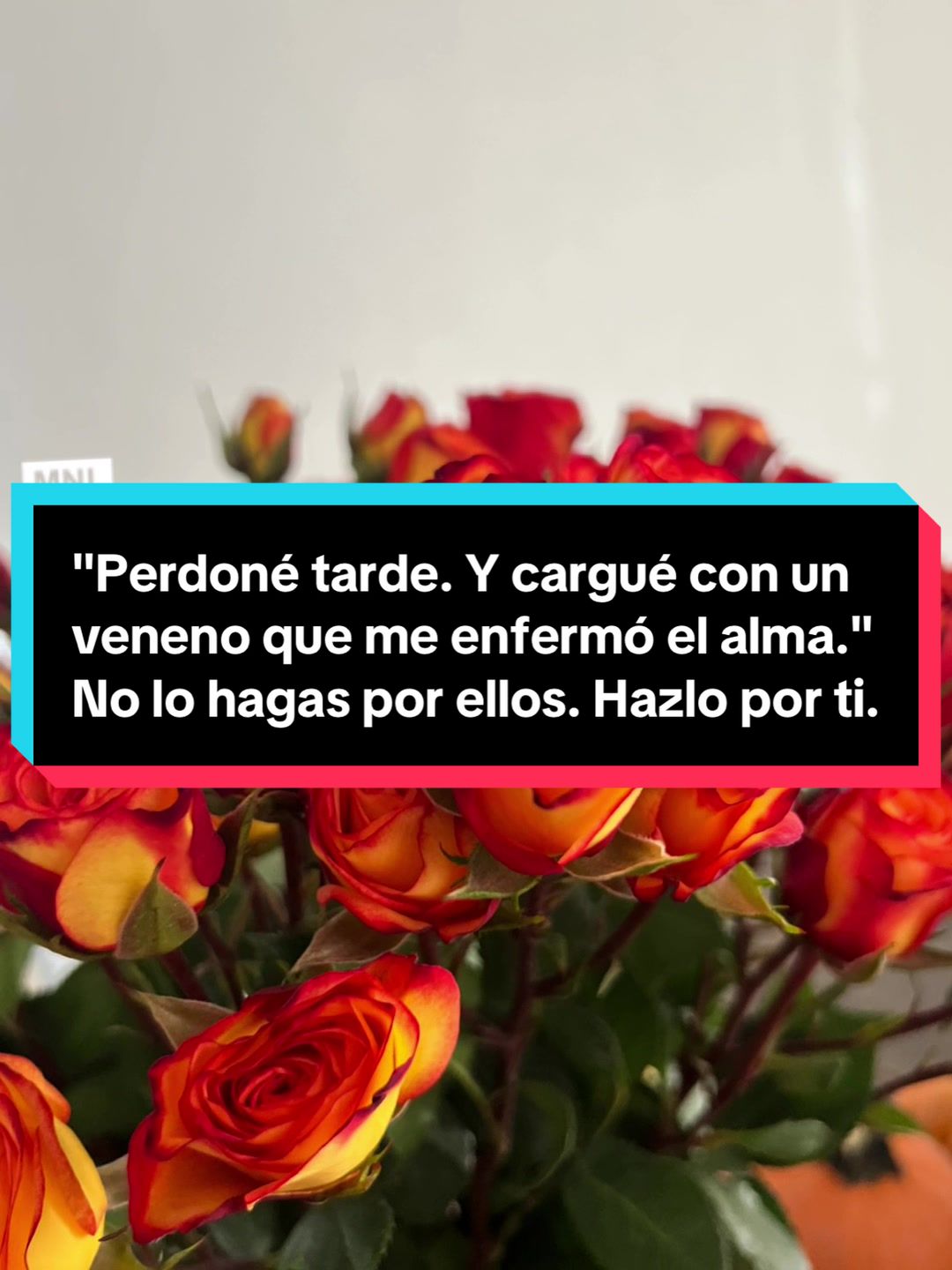 @Lucy Medina ❣️