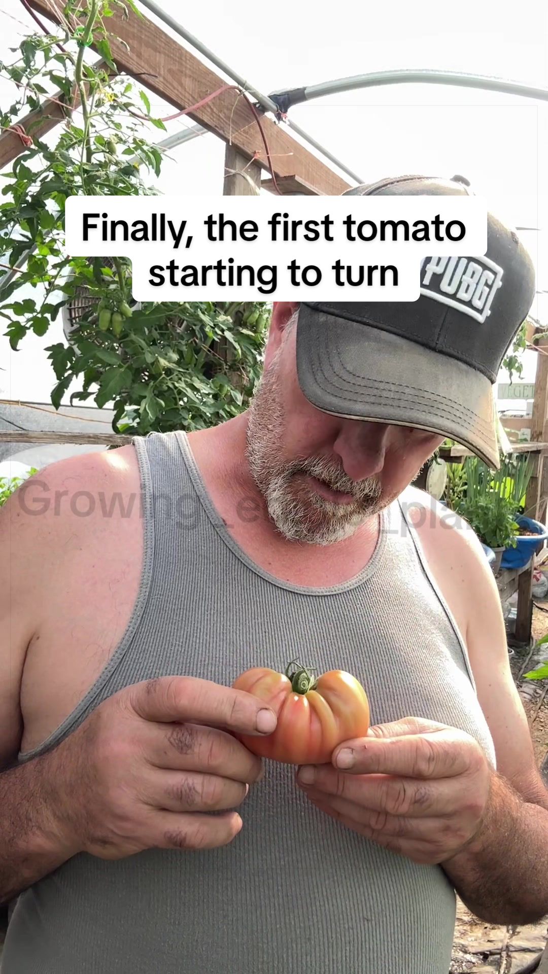 @GROWING_EDIBLE_PLANTS