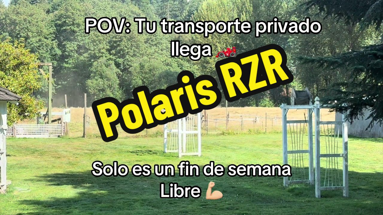 @ElChamakon720