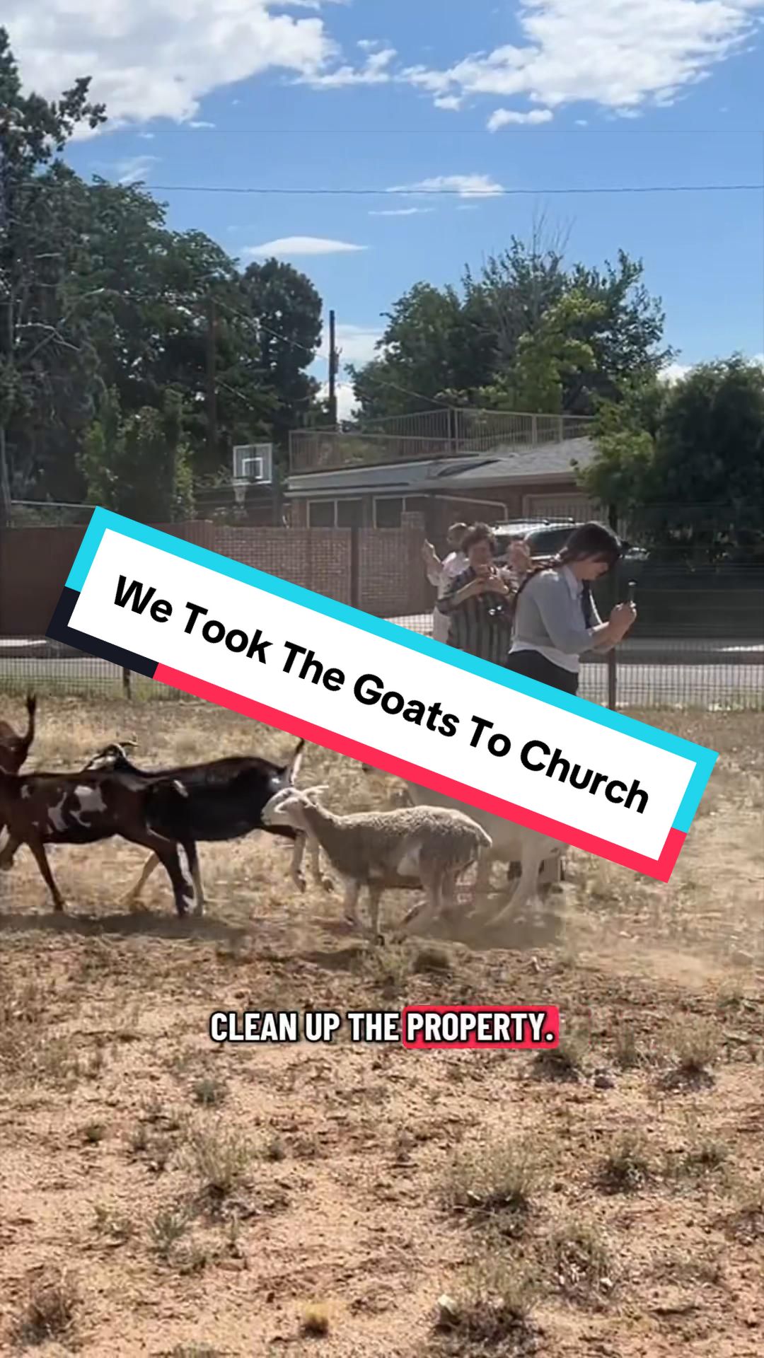 @cowboymax