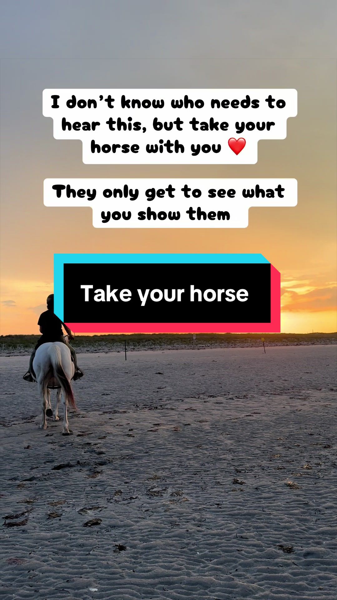 @Sandra&rsquo;s pale herd 🐴