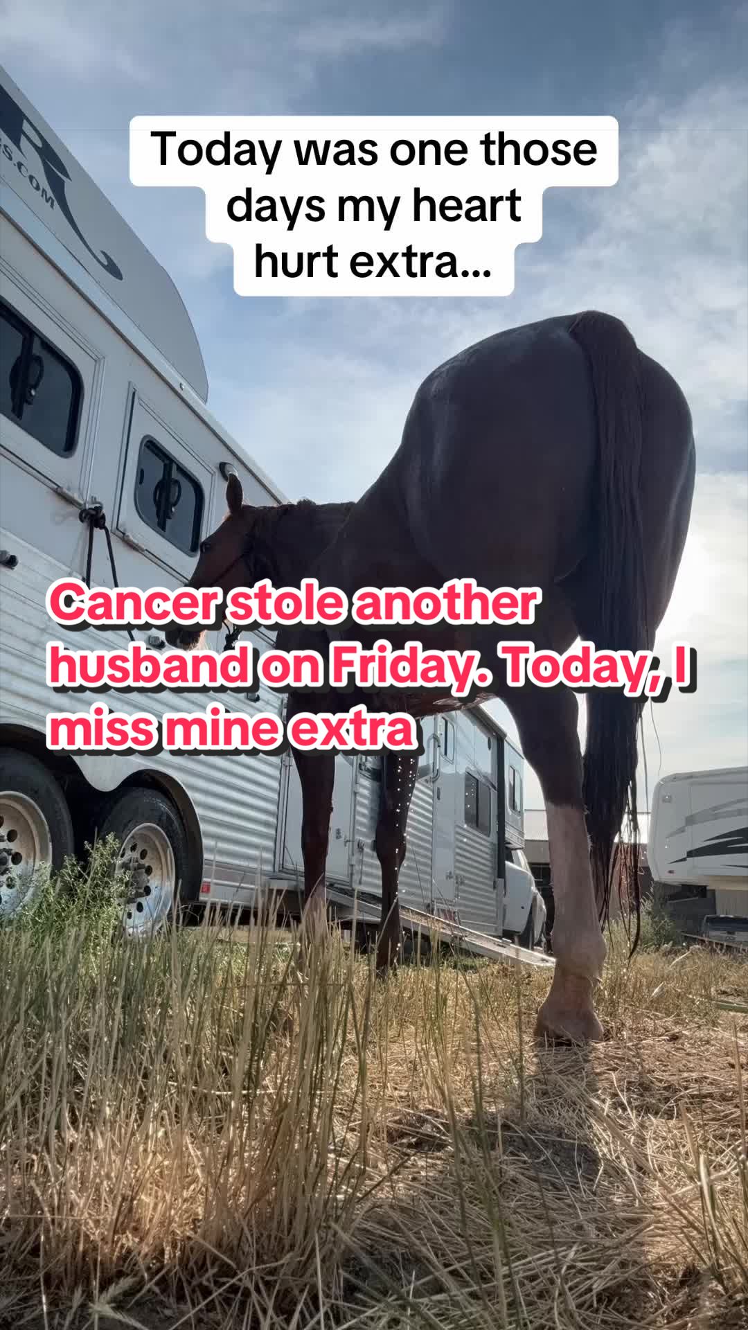 @Alisha Collins Realtor