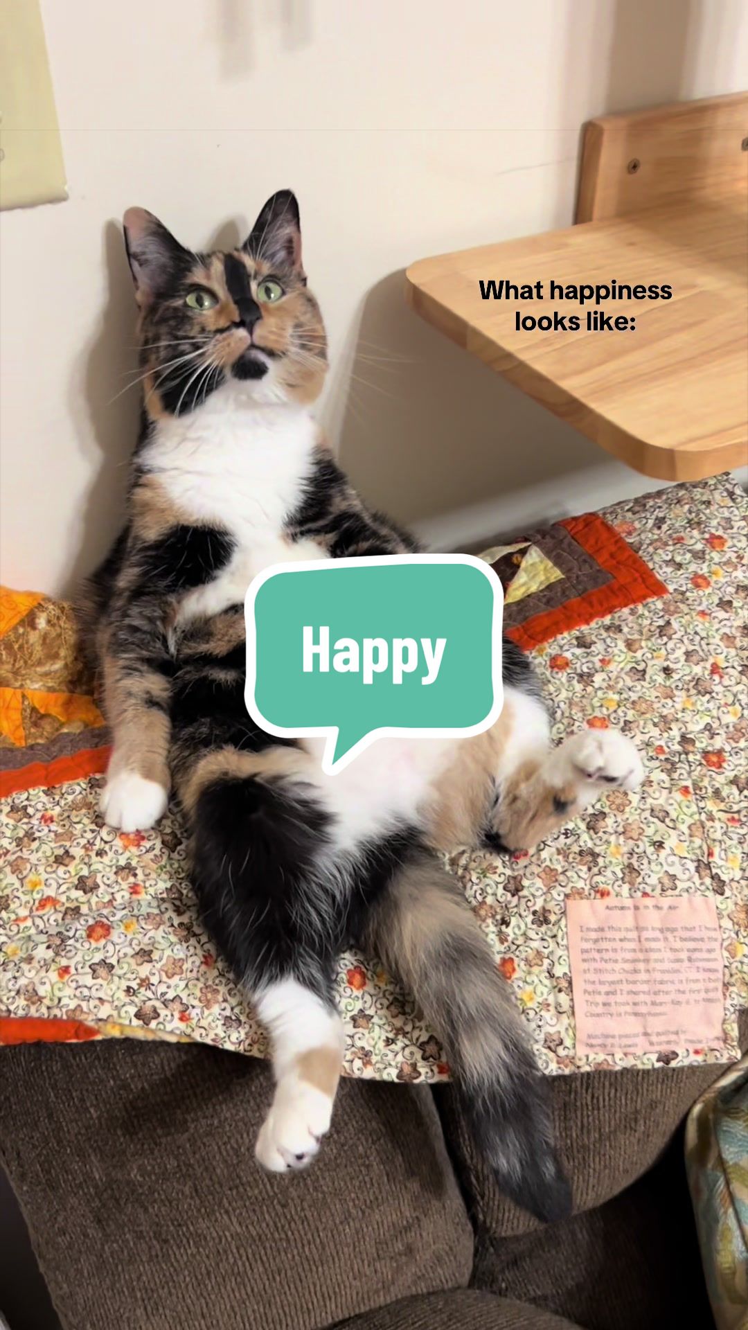 @SnickersTheSmilingCat