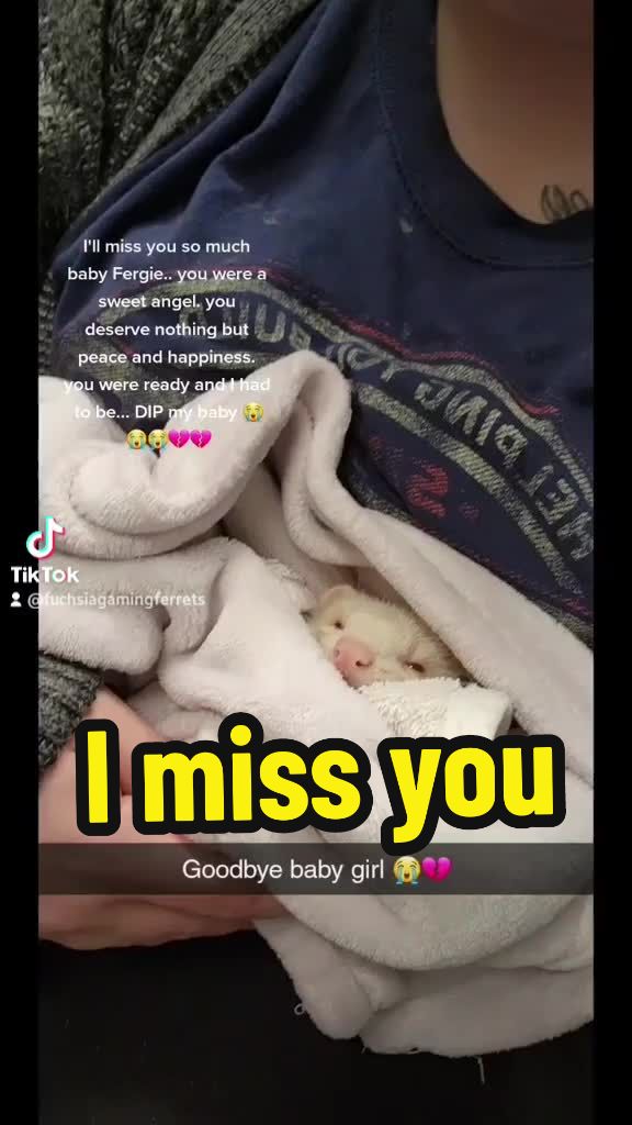 @Fuchsia