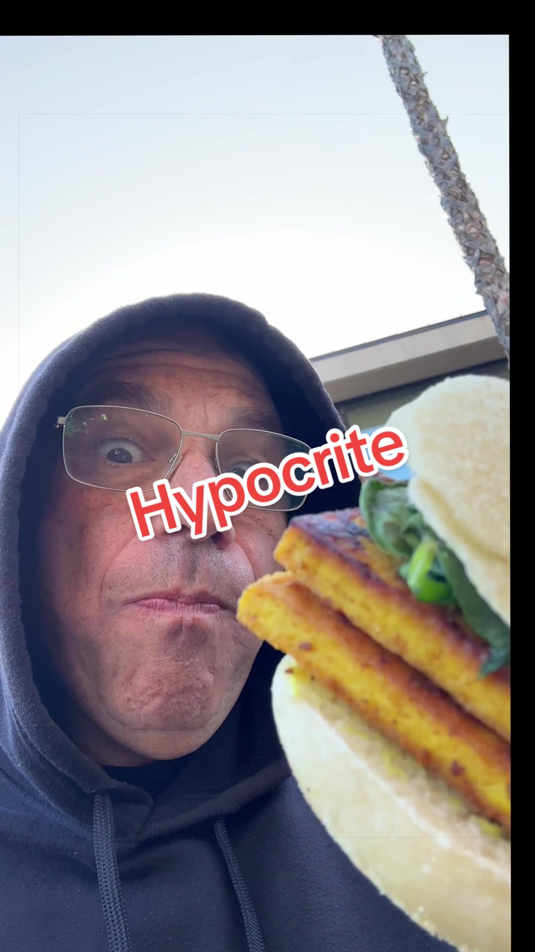 @Vegan Hacks Pod